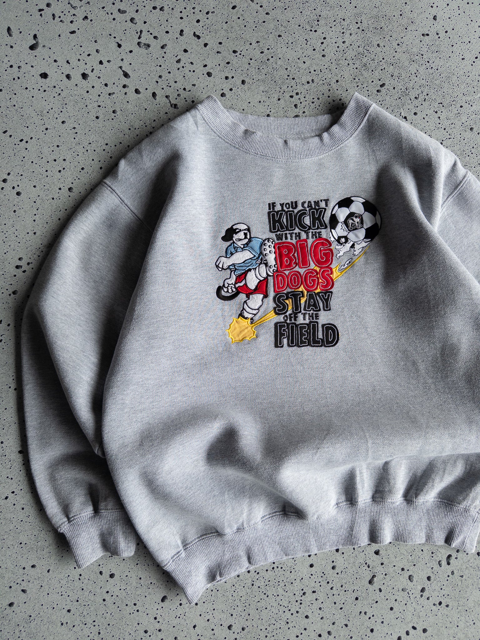 Vintage Big Dogs Sweatshirt (14-16Y)