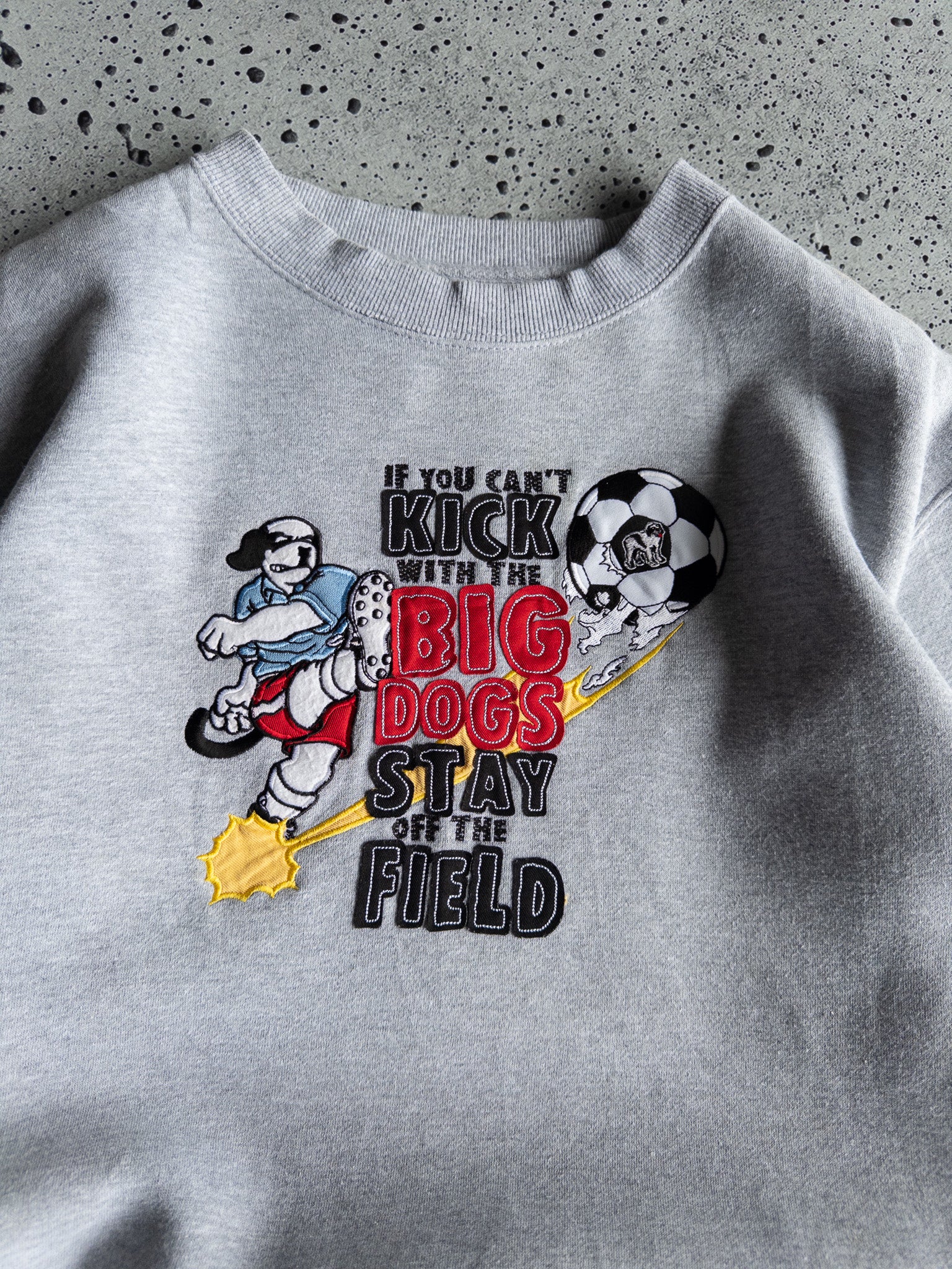 Vintage Big Dogs Sweatshirt (14-16Y)