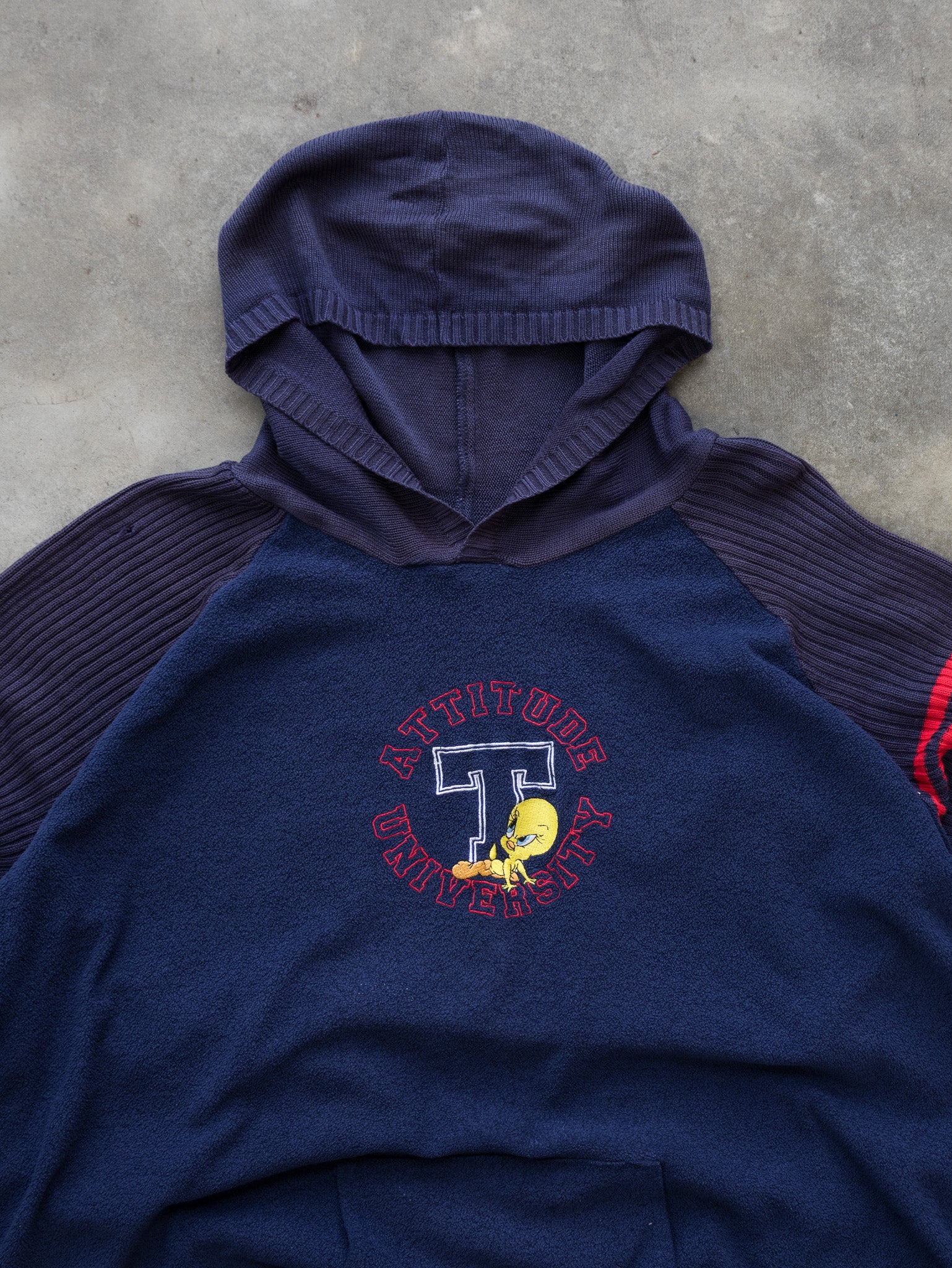 Vintage Navy Looney Tunes Tweety Sweatshirt (Women's 2XL)