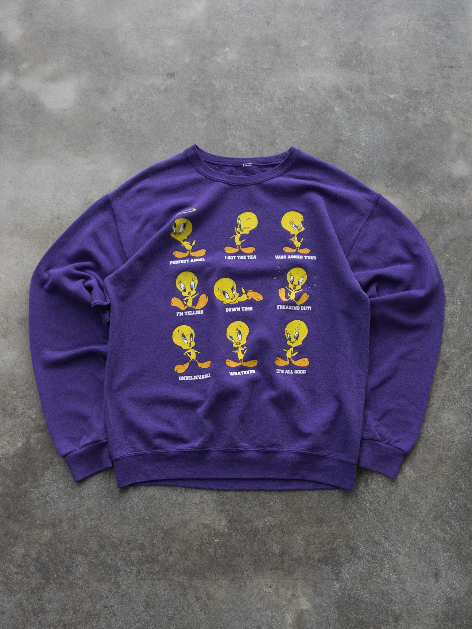 Vintage Purple Tweety Sweatshirt (M)