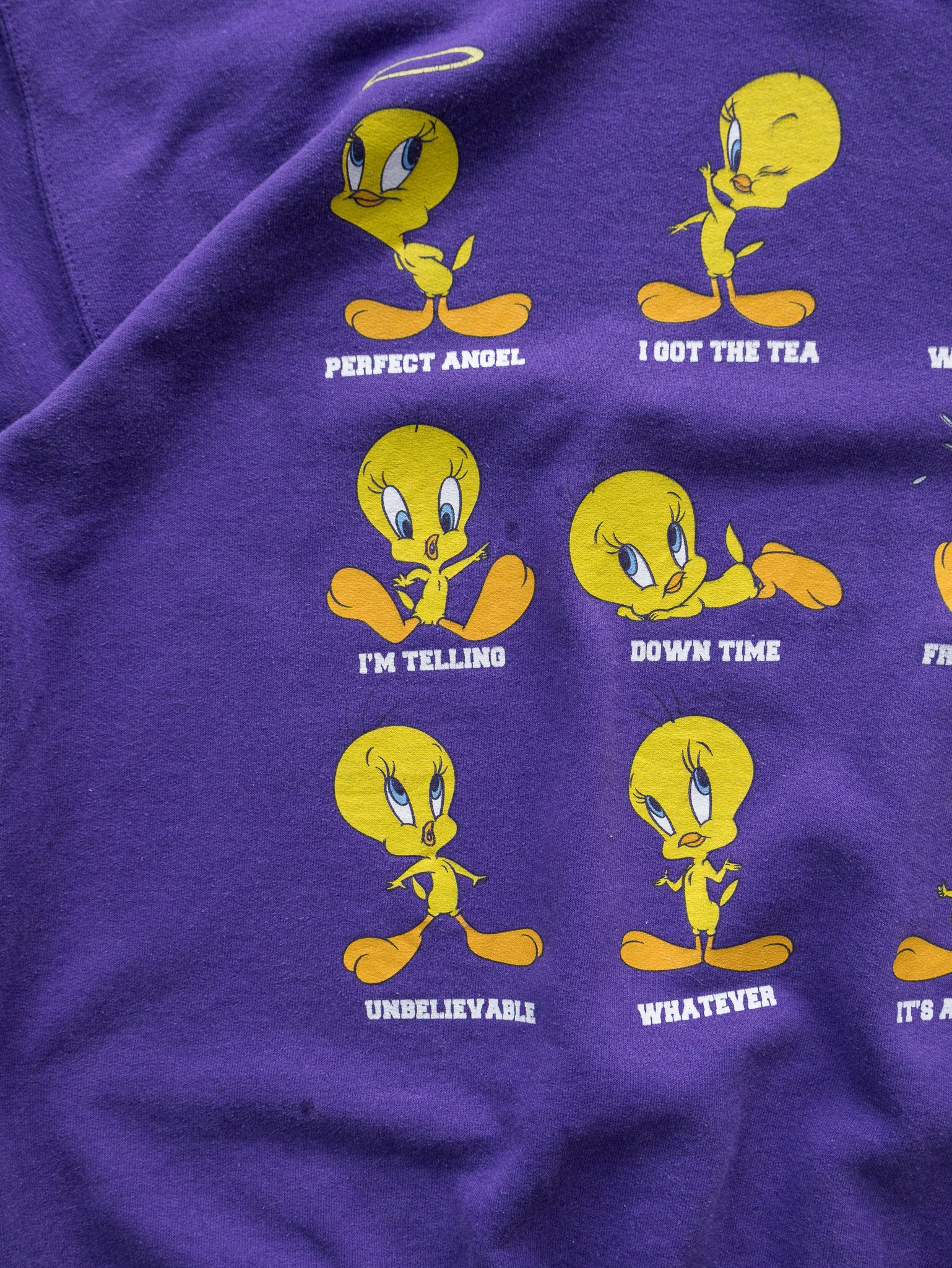 Vintage Purple Tweety Sweatshirt (M)