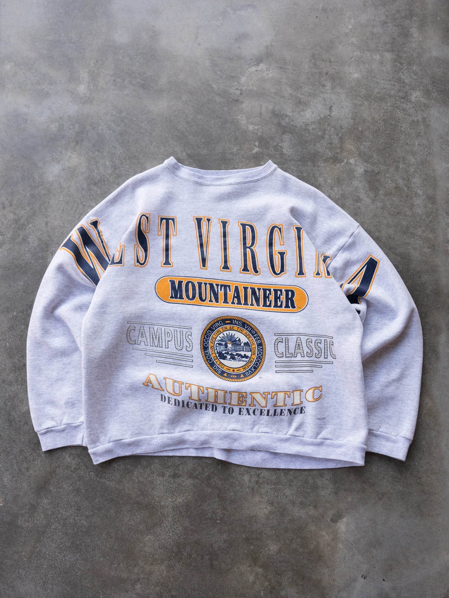 Vintage 90s Grey West Virginia Mountaineers Sweatshirt (L/XL)