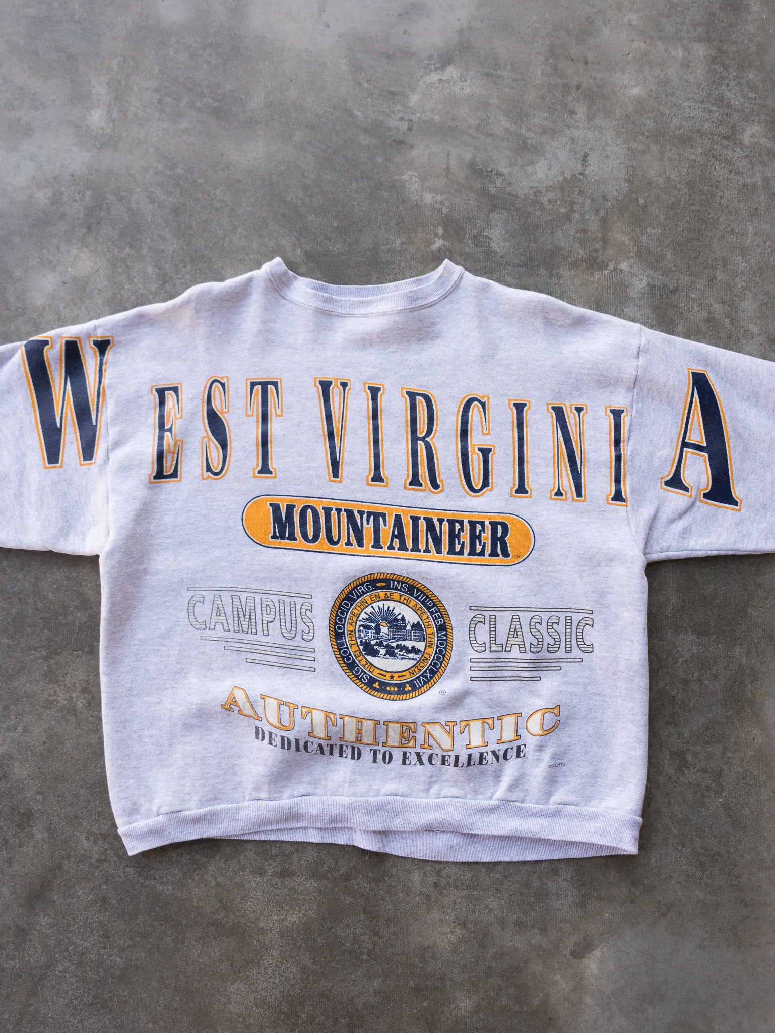 Vintage 90s Grey West Virginia Mountaineers Sweatshirt (L/XL)