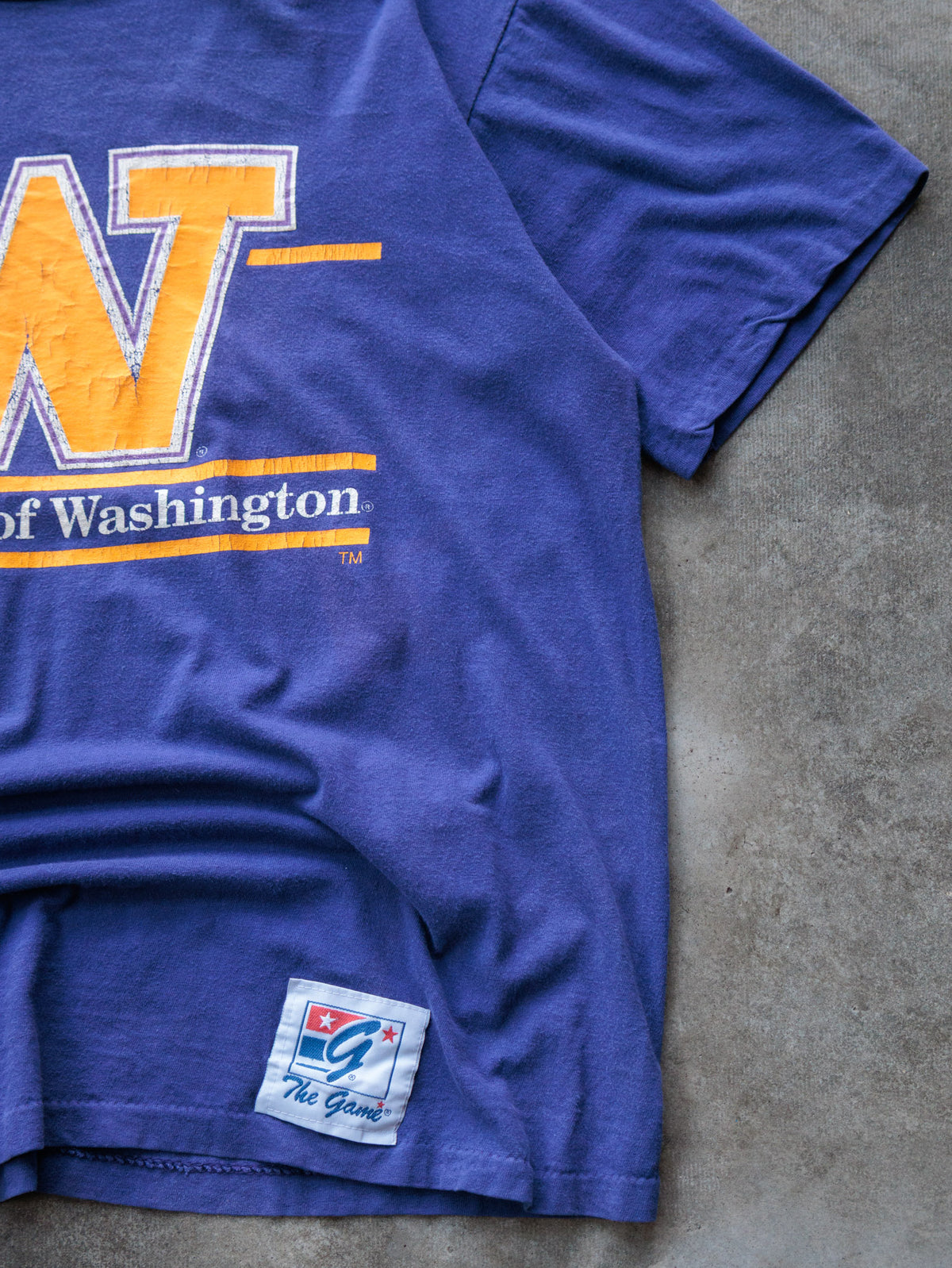 Vintage 90s Purple University of Washington Tee (L)