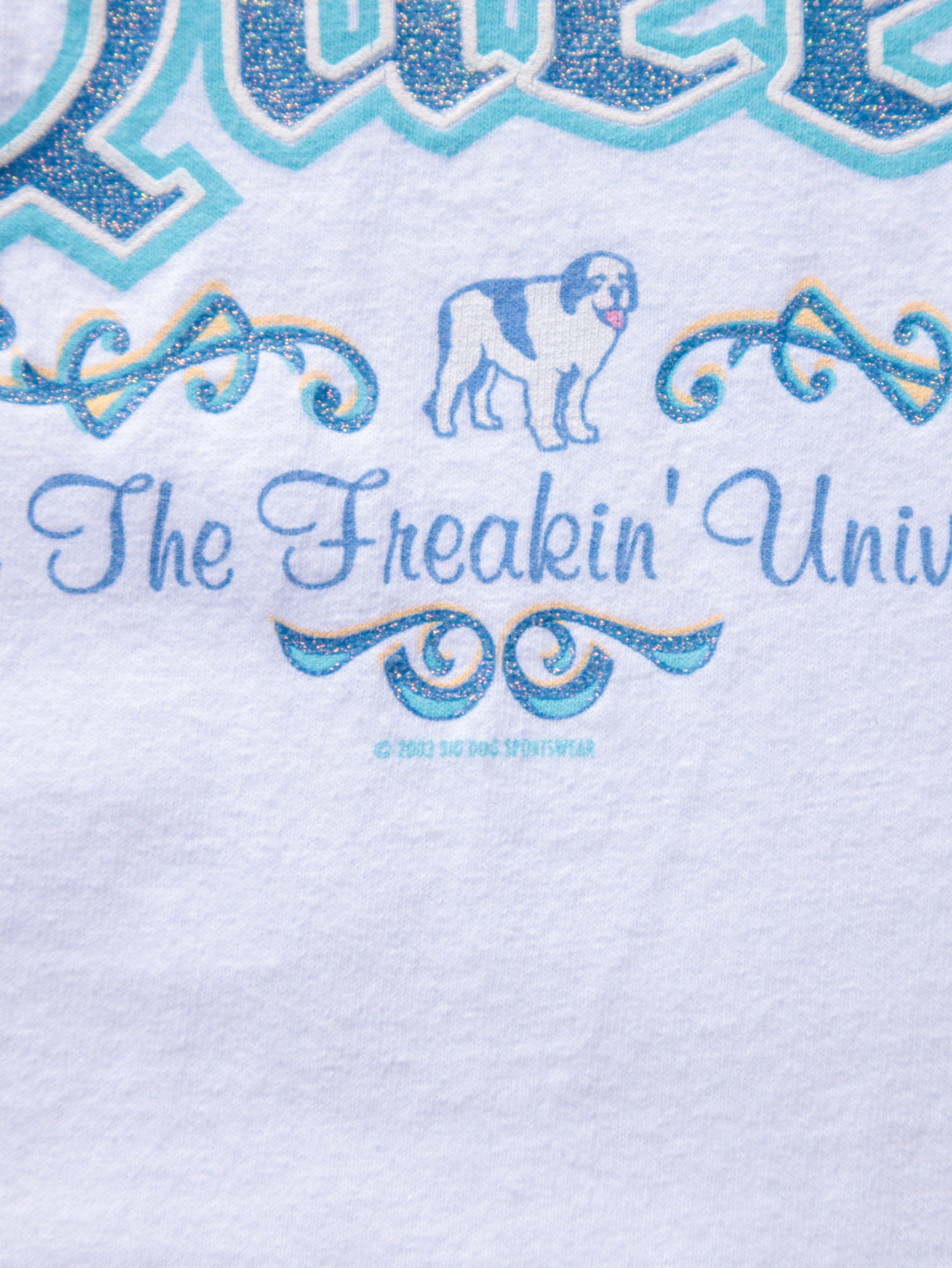Vintage 2003 White Big Dogs Queen Of The Freakin' Universe Slogan Tee (-)