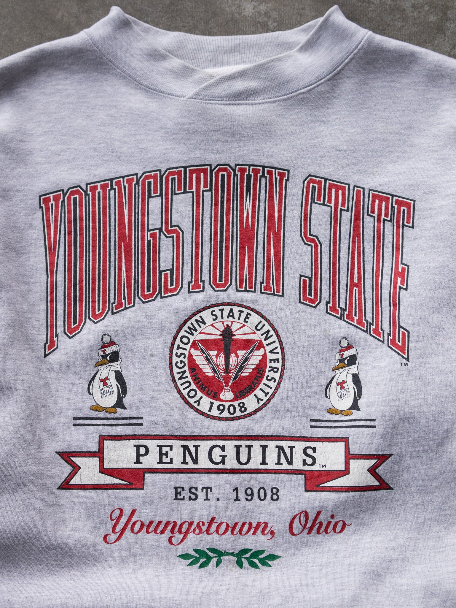 Vintage Grey Youngstown State Sweatshirt (L)