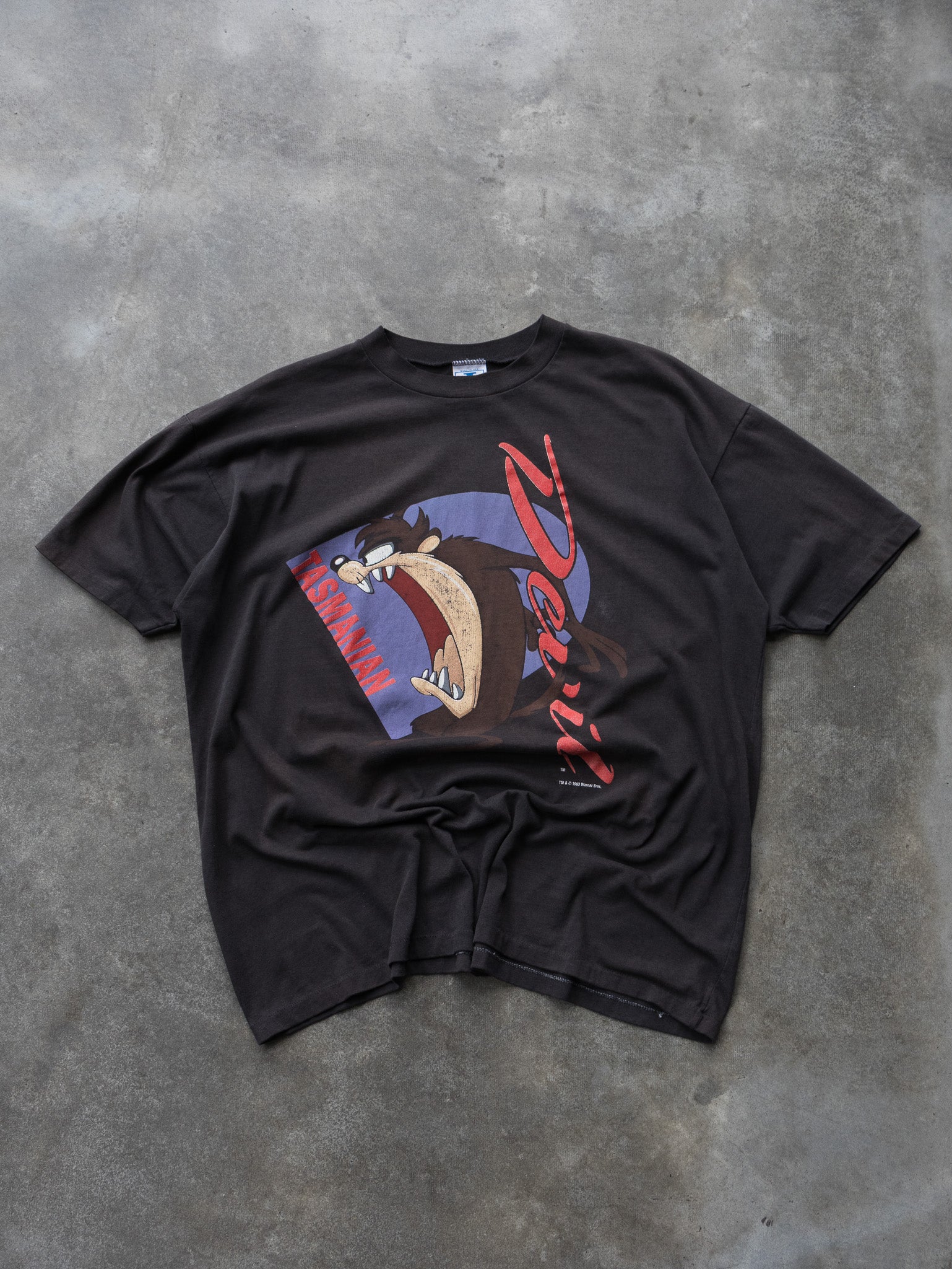 Vintage 1993 Taz Devil Tee (XL)