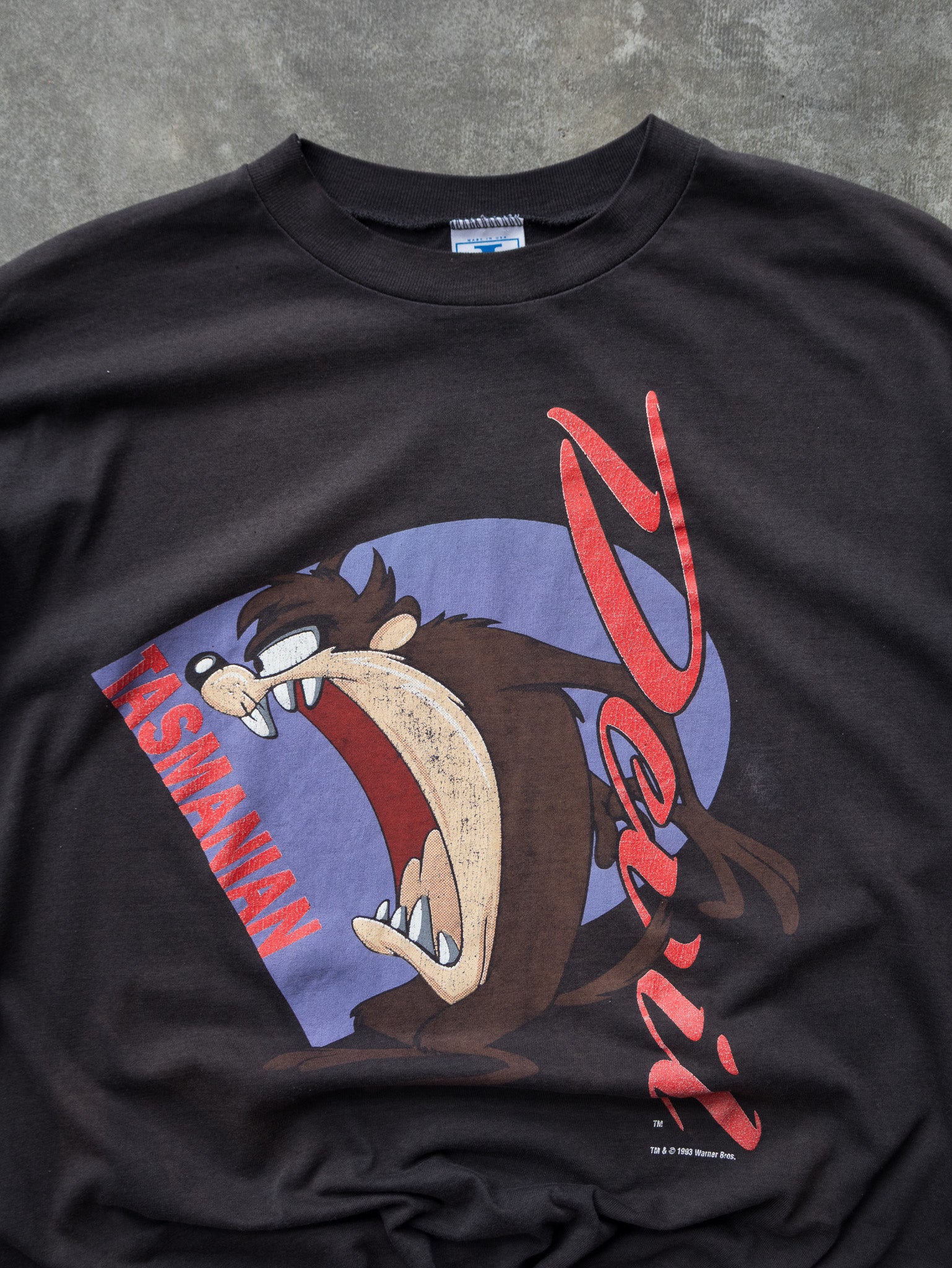 Vintage 1993 Taz Devil Tee (XL)