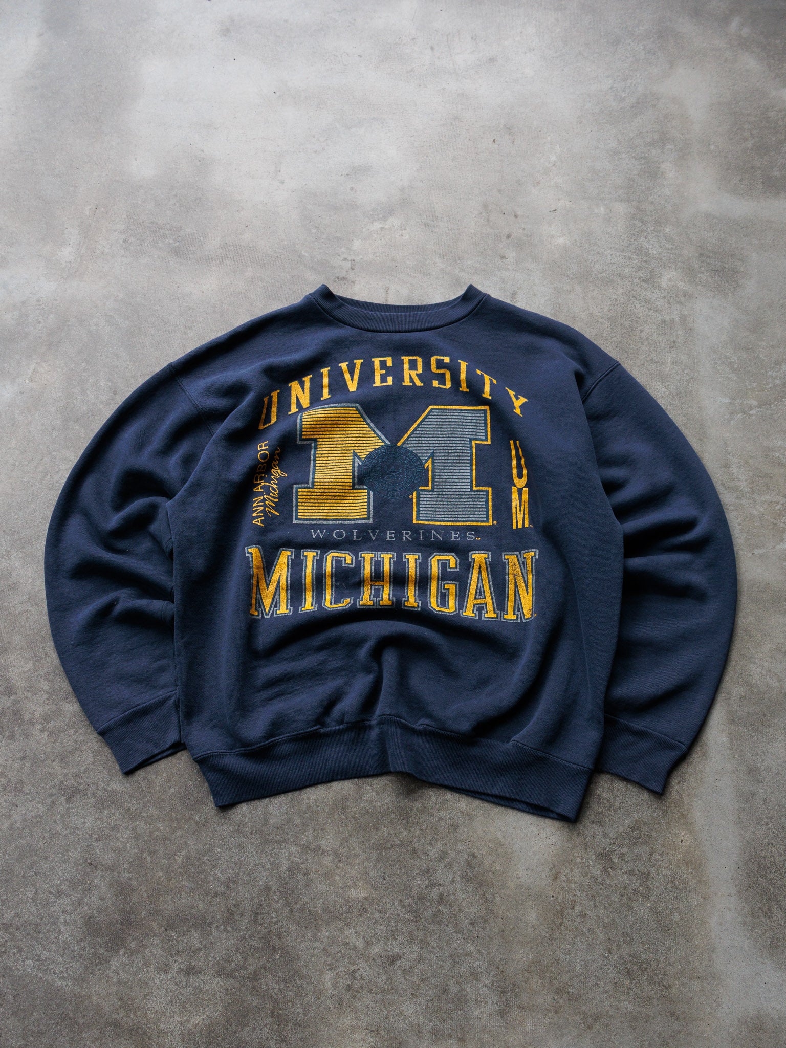 Vintage 90s University of Michigan Wolverines Sweatshirt (L)