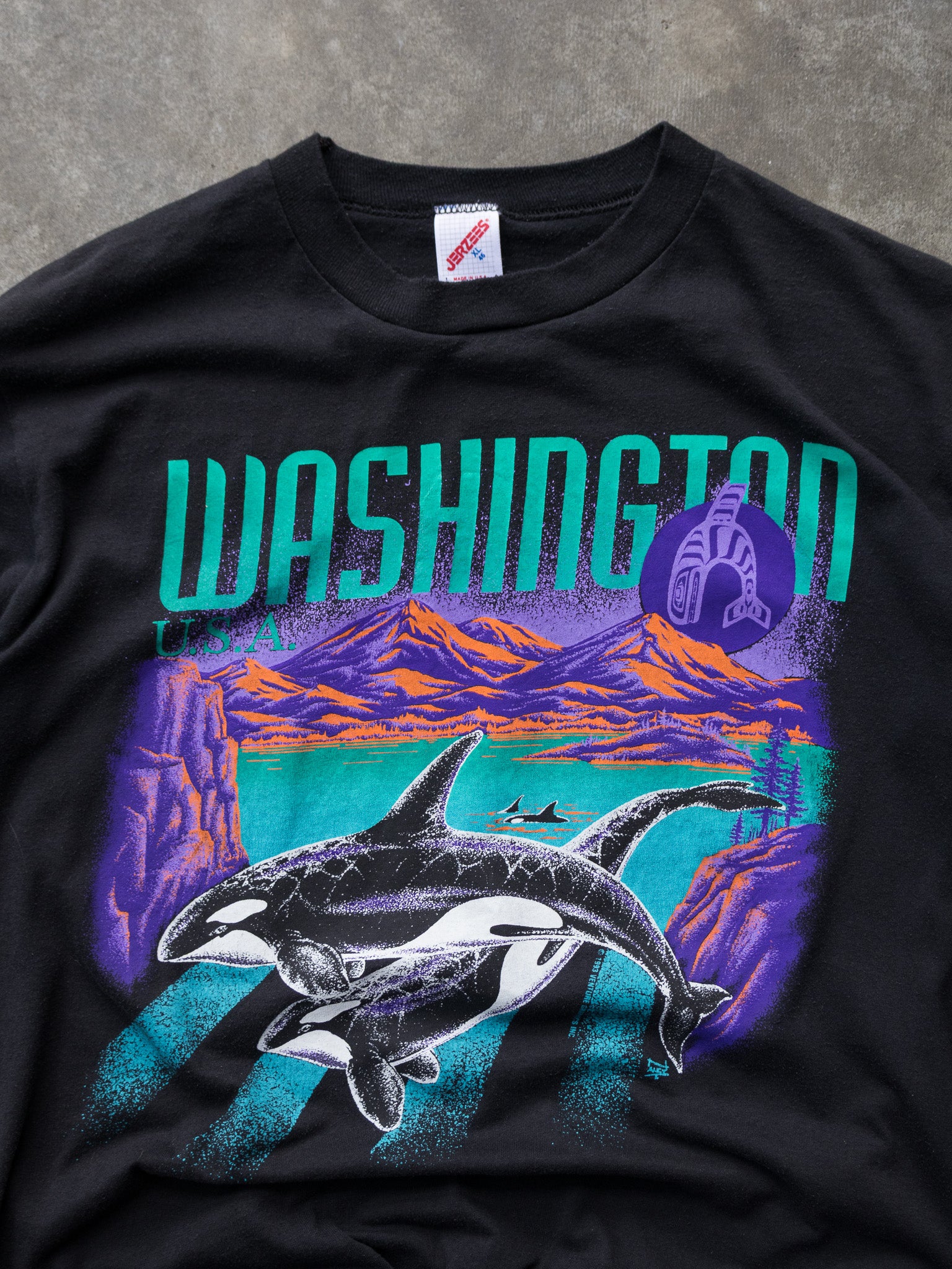 Vintage 90s Washington Orca Wildlife Tee (XL)