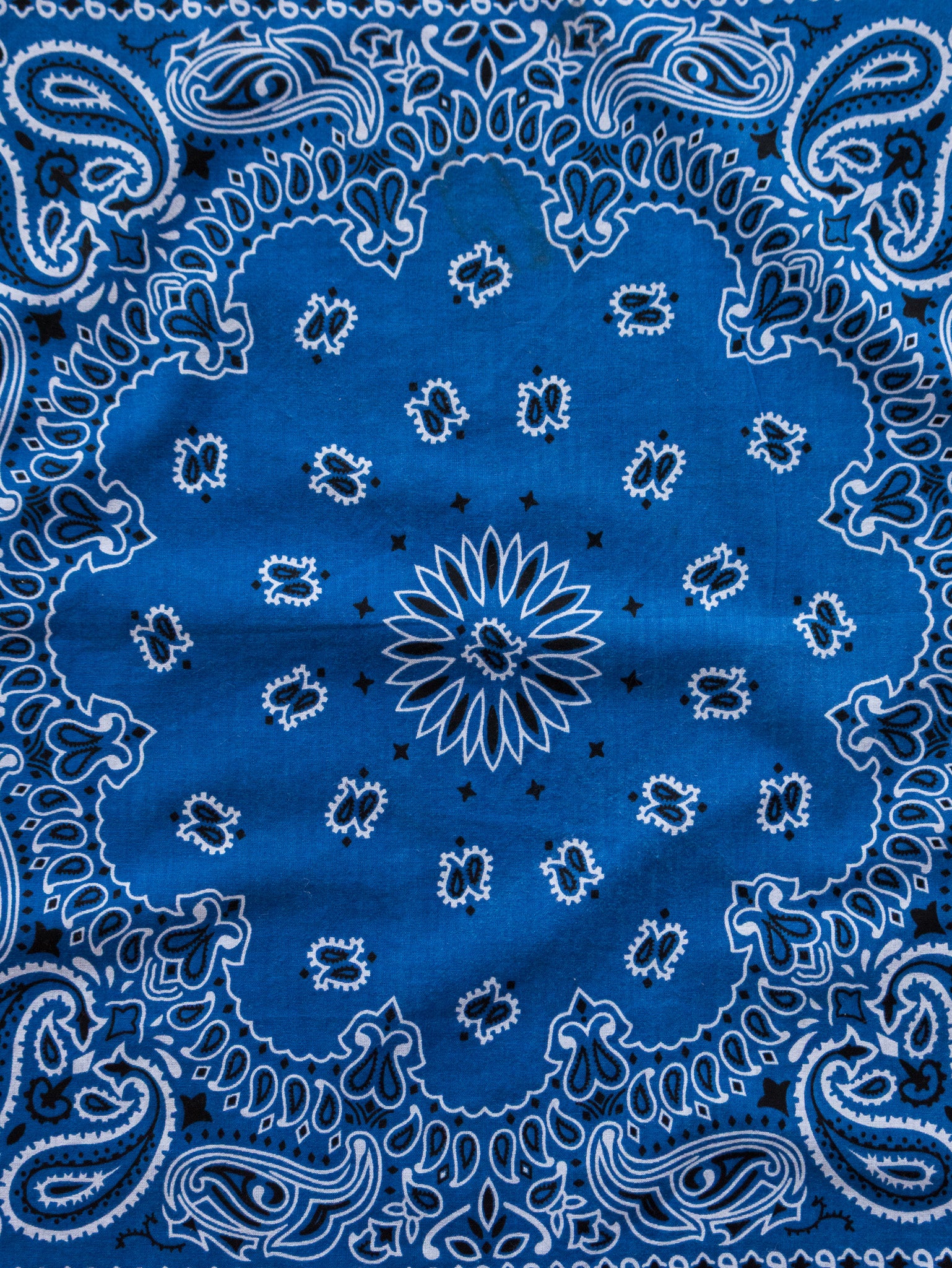 Vintage Royal Blue Paisley Bandana