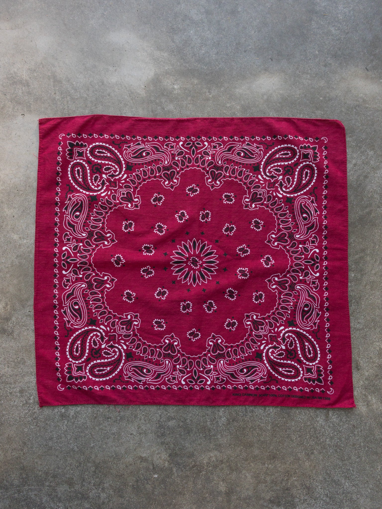 Vintage Red Paisley Bandana