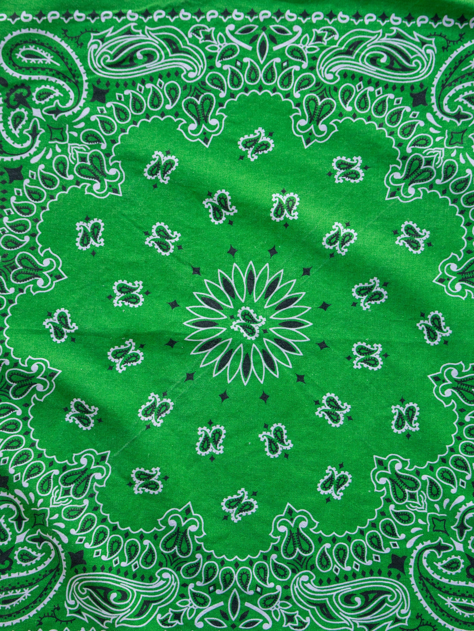 Vintage Kelly Green Paisley Bandana