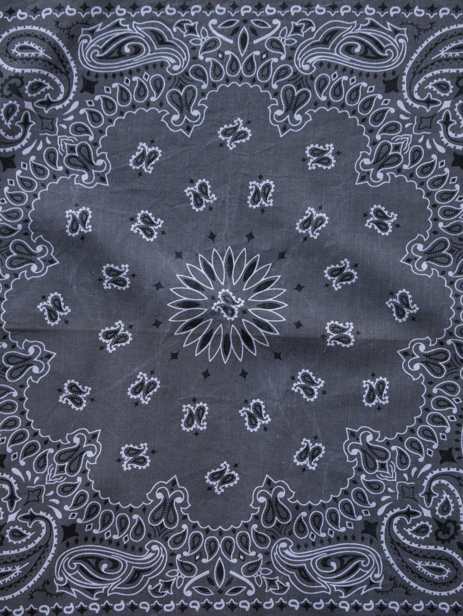 Vintage Charcoal Paisley Bandana