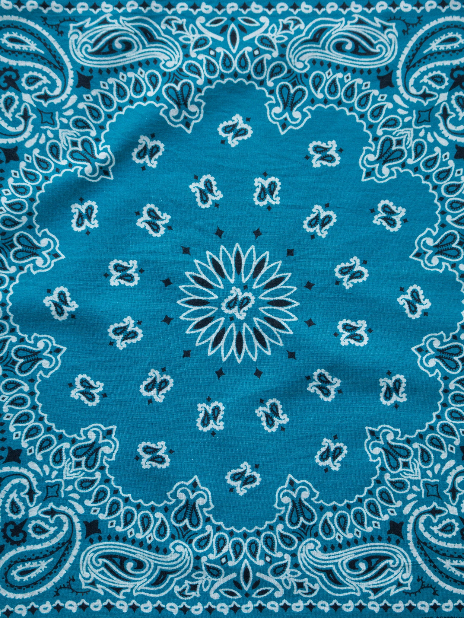 Vintage Teal Paisley Bandana