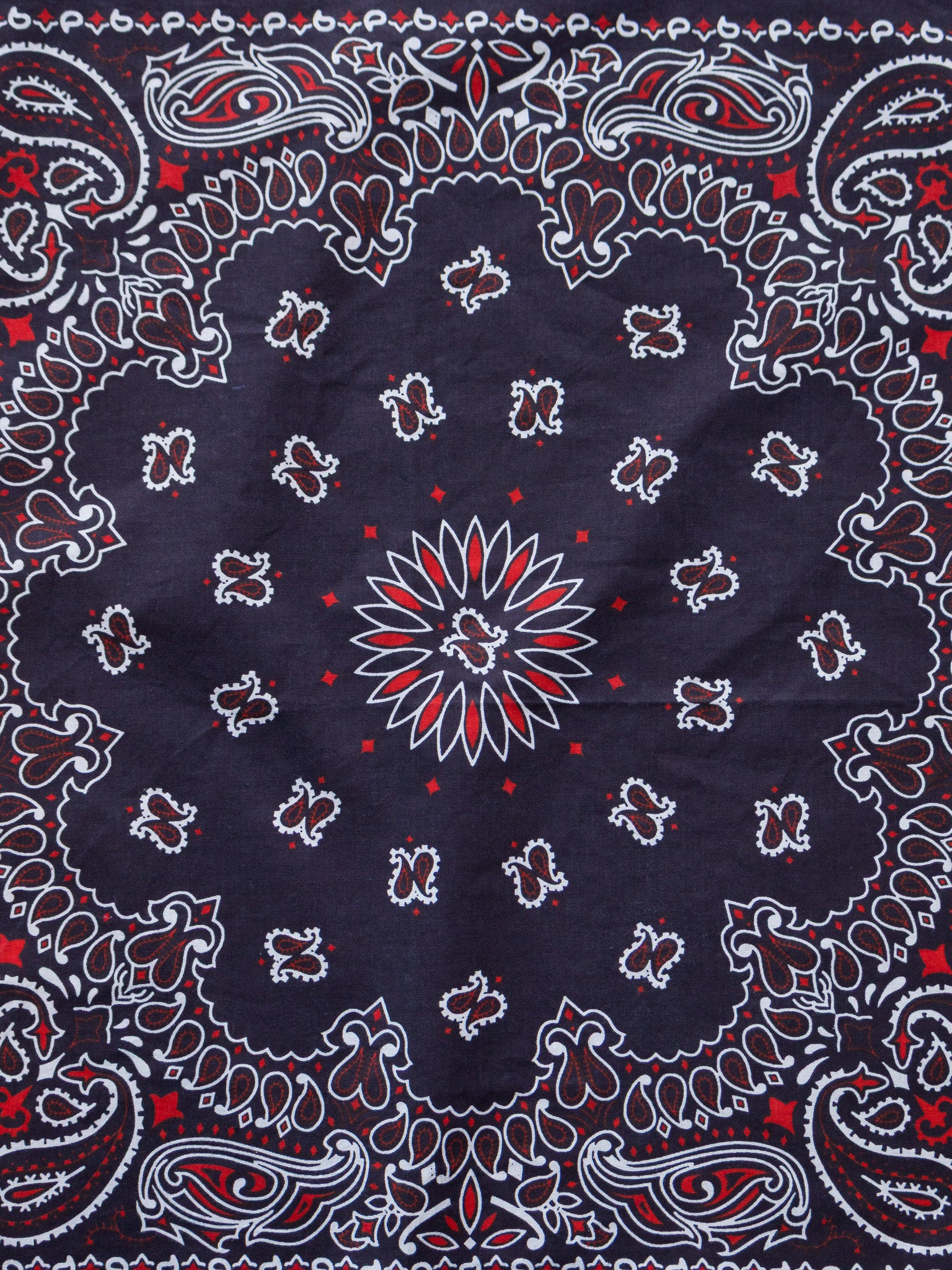 Vintage Navy Paisley Bandana