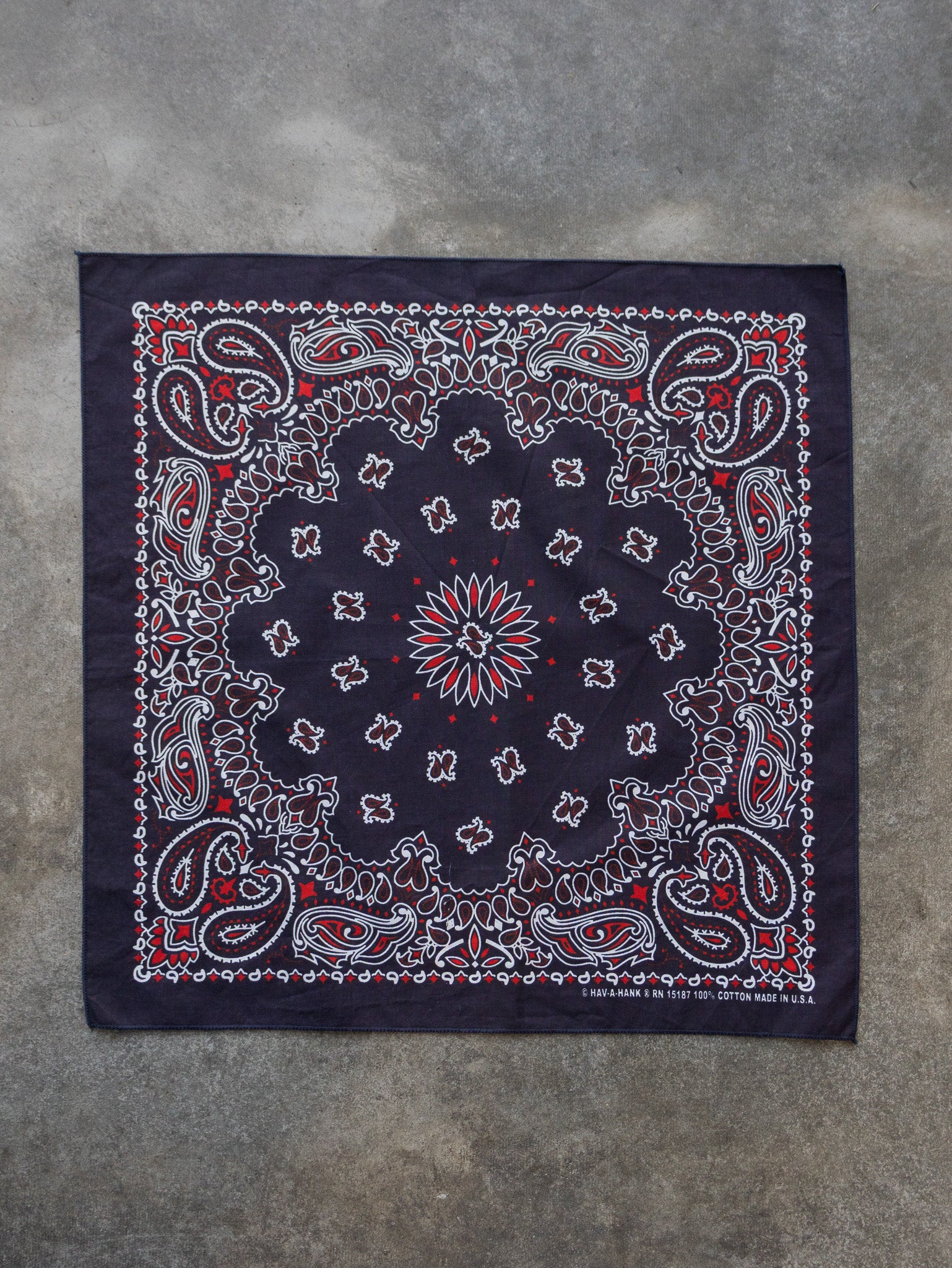Vintage Navy Paisley Bandana
