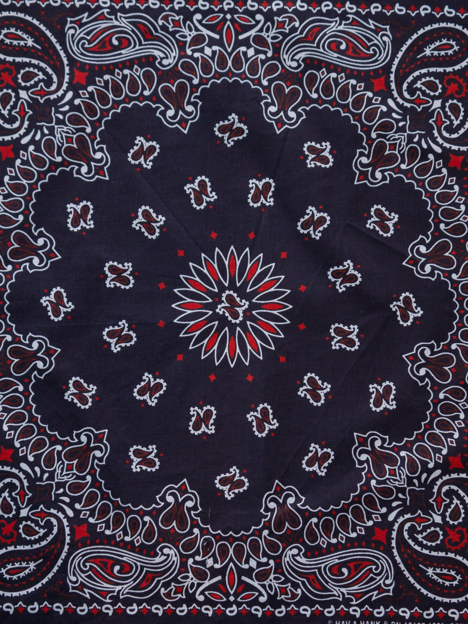 Vintage Navy Paisley Bandana
