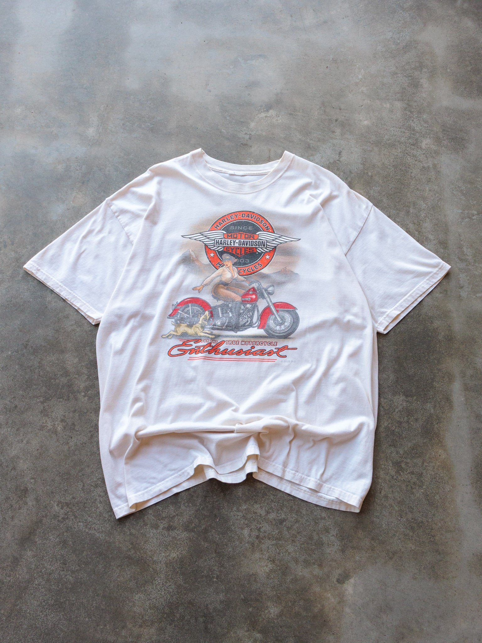 Vintage 2009 Harley-Davidson Andrae's Urbana Illinois Tee (2XL)