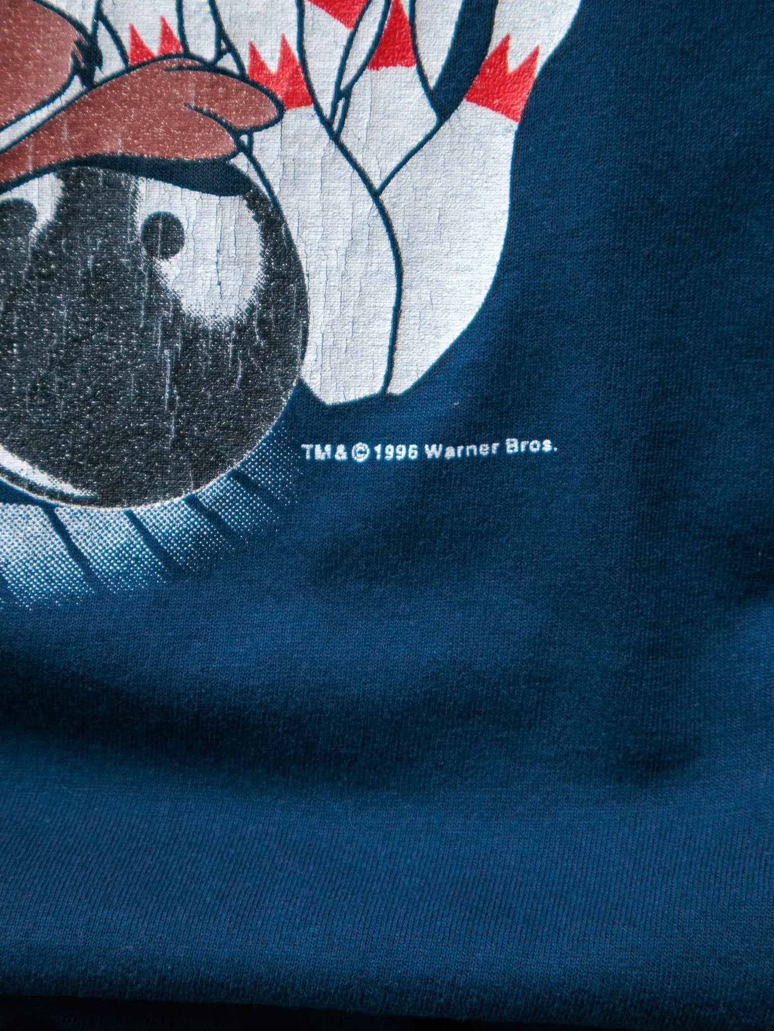 Vintage 1996 Navy Looney Tunes Taz Buffalo Bowling Tee (L)
