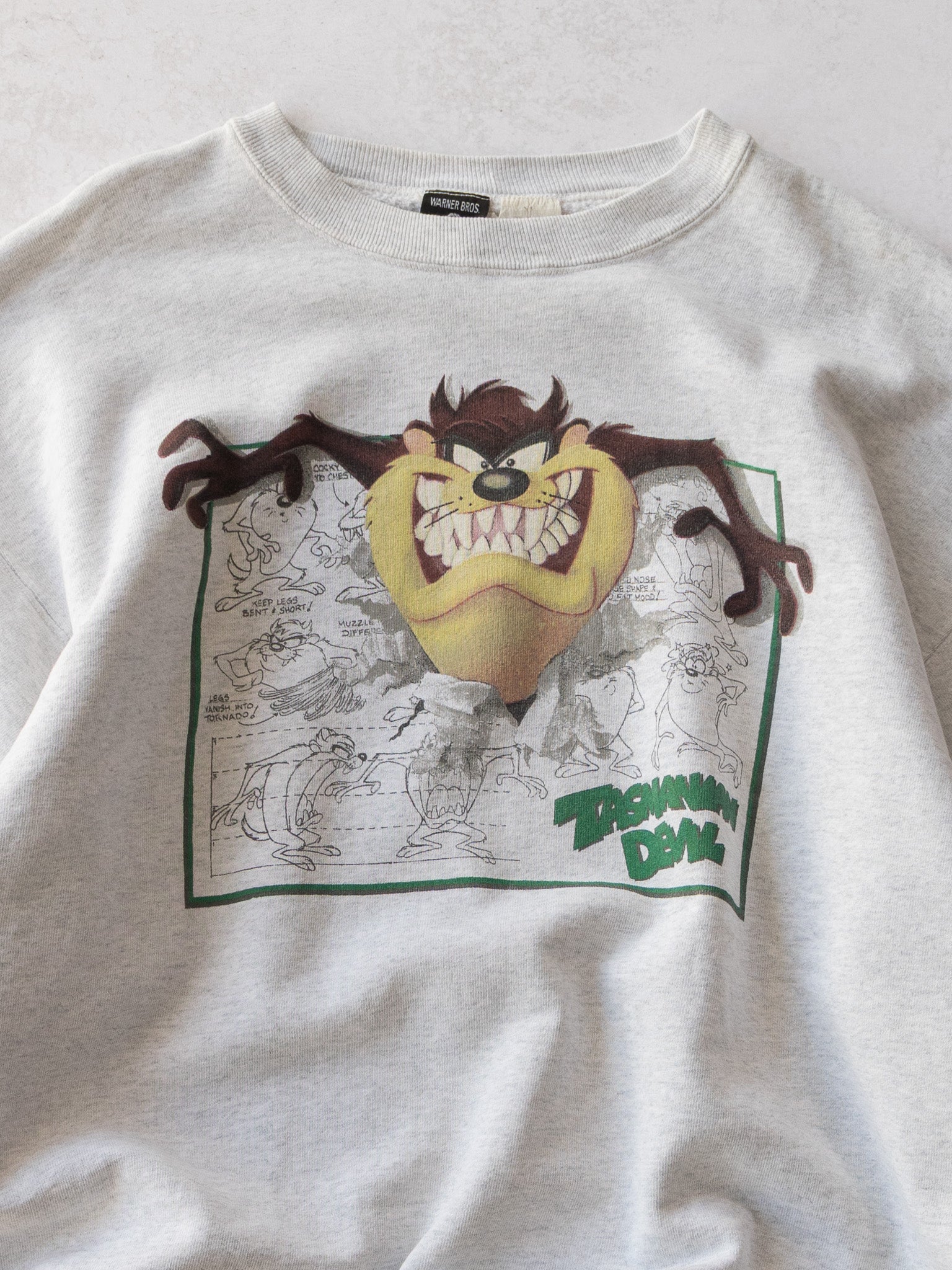 Vintage '90s Taz Looney Tunes Sweatshirt (XL)