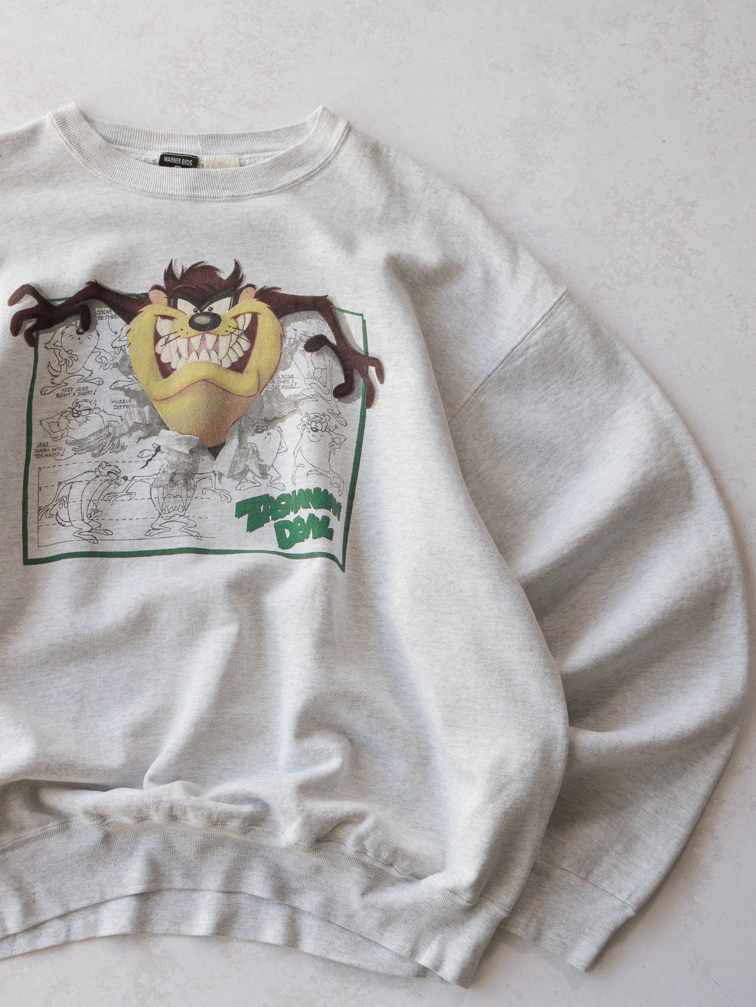 Vintage '90s Taz Looney Tunes Sweatshirt (XL)