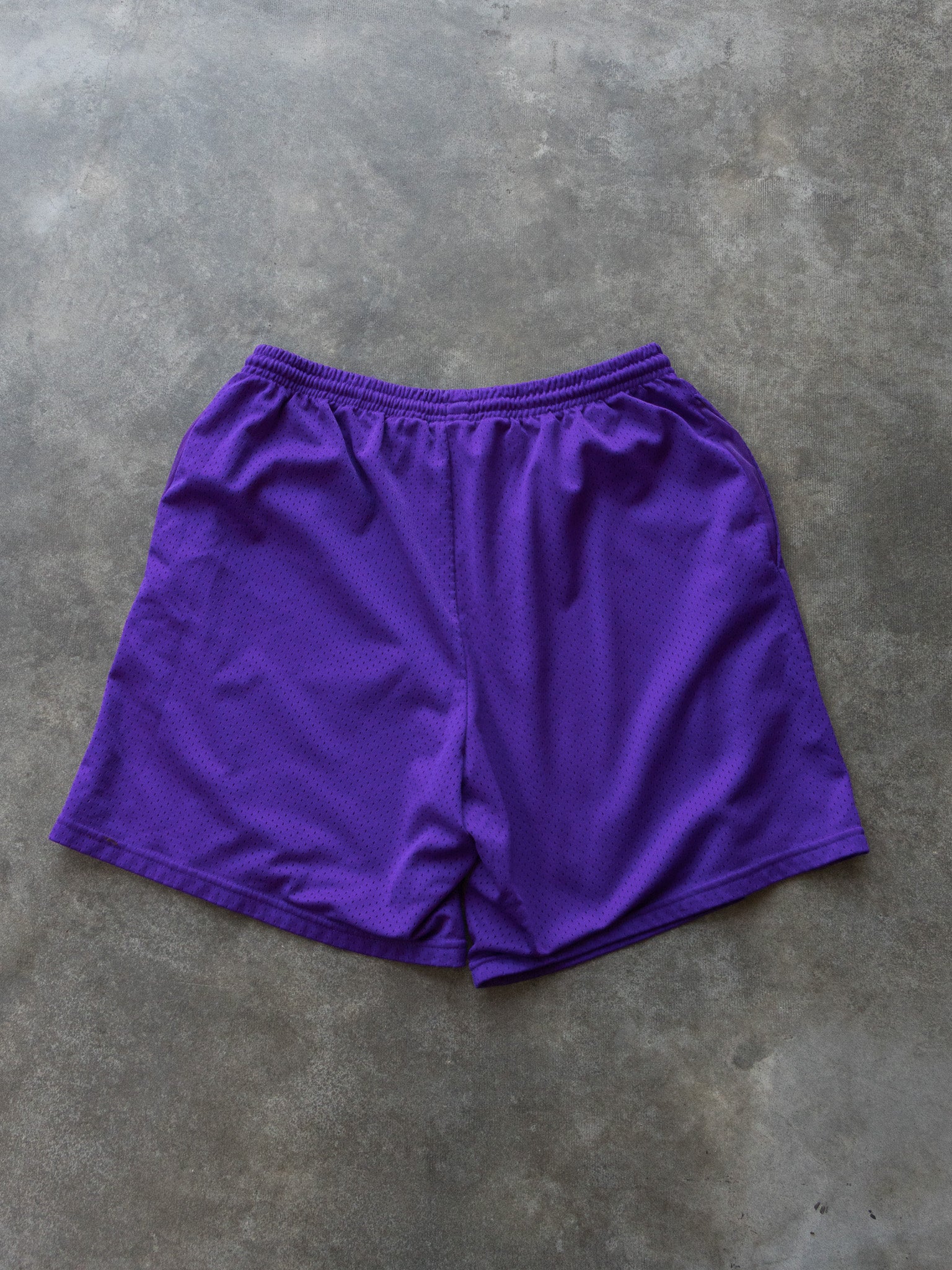 Vintage Purple Nike Shorts (L)