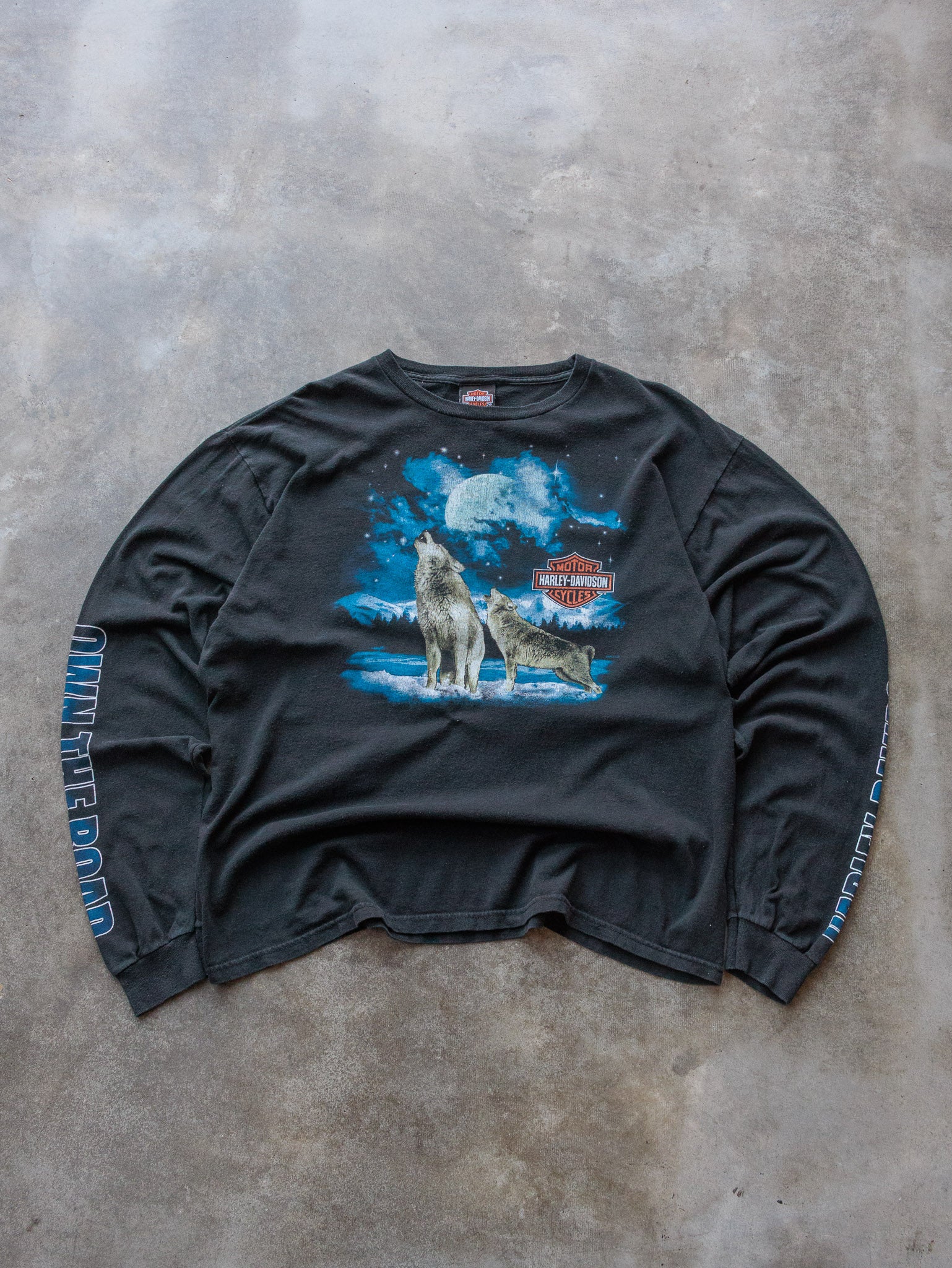 Vintage 2014 Harley Davidson Visalia Long Sleeve (XL)