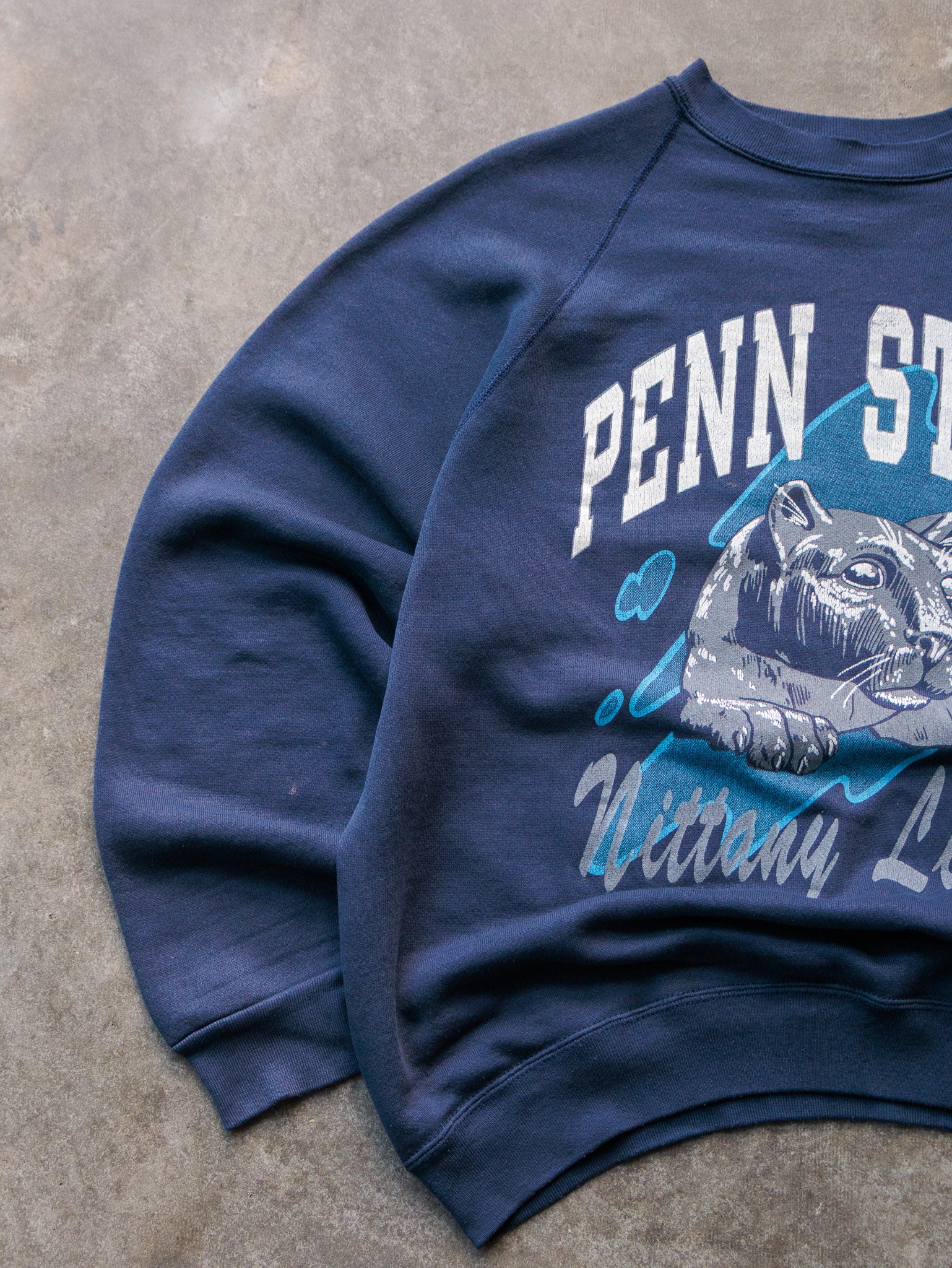 Vintage 90s Navy Penn State Nittany Lions Sweatshirt (XL)