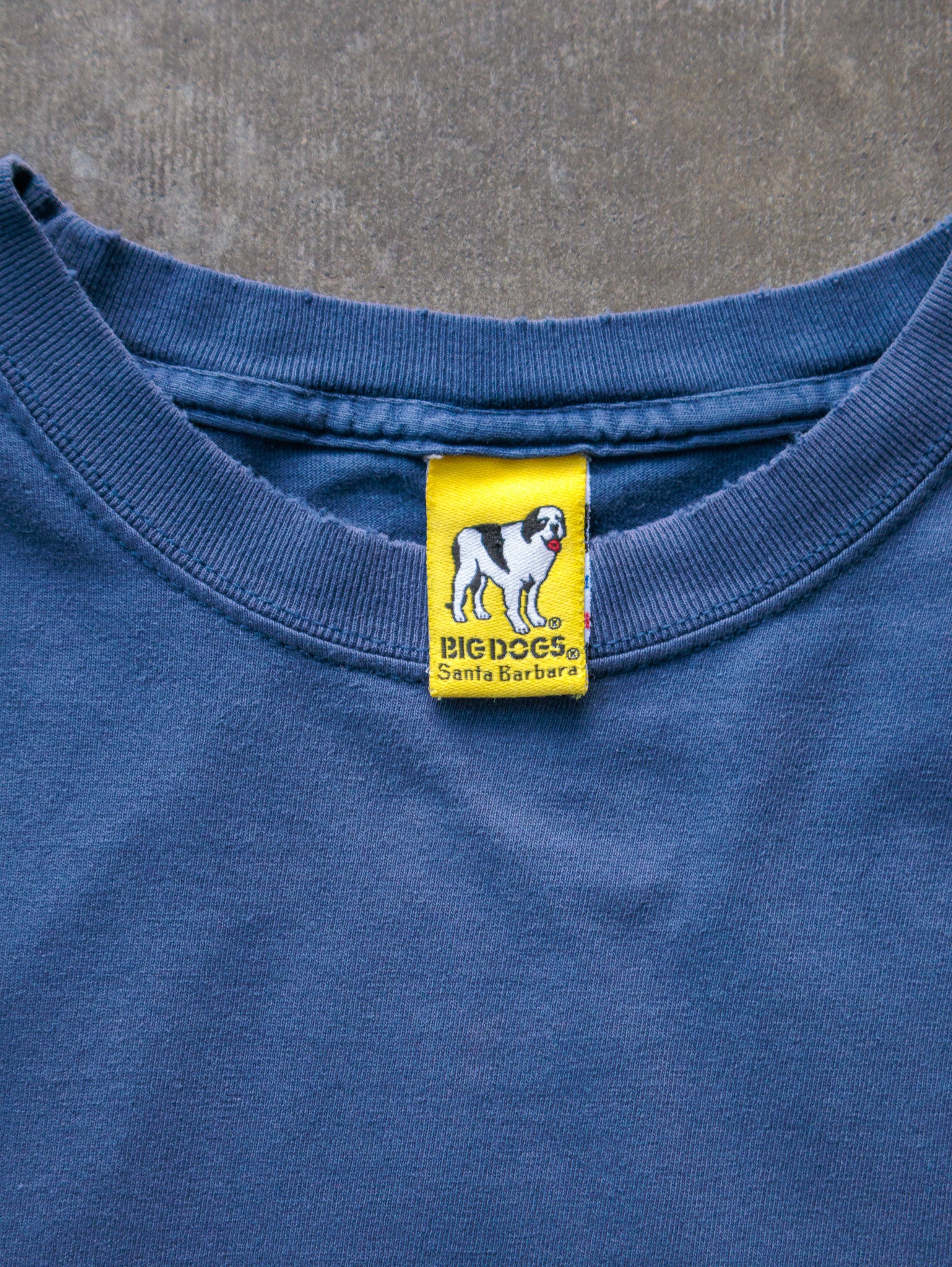 Vintage 90s Blue Big Dogs Just Do It Tomorrow Tee (L)