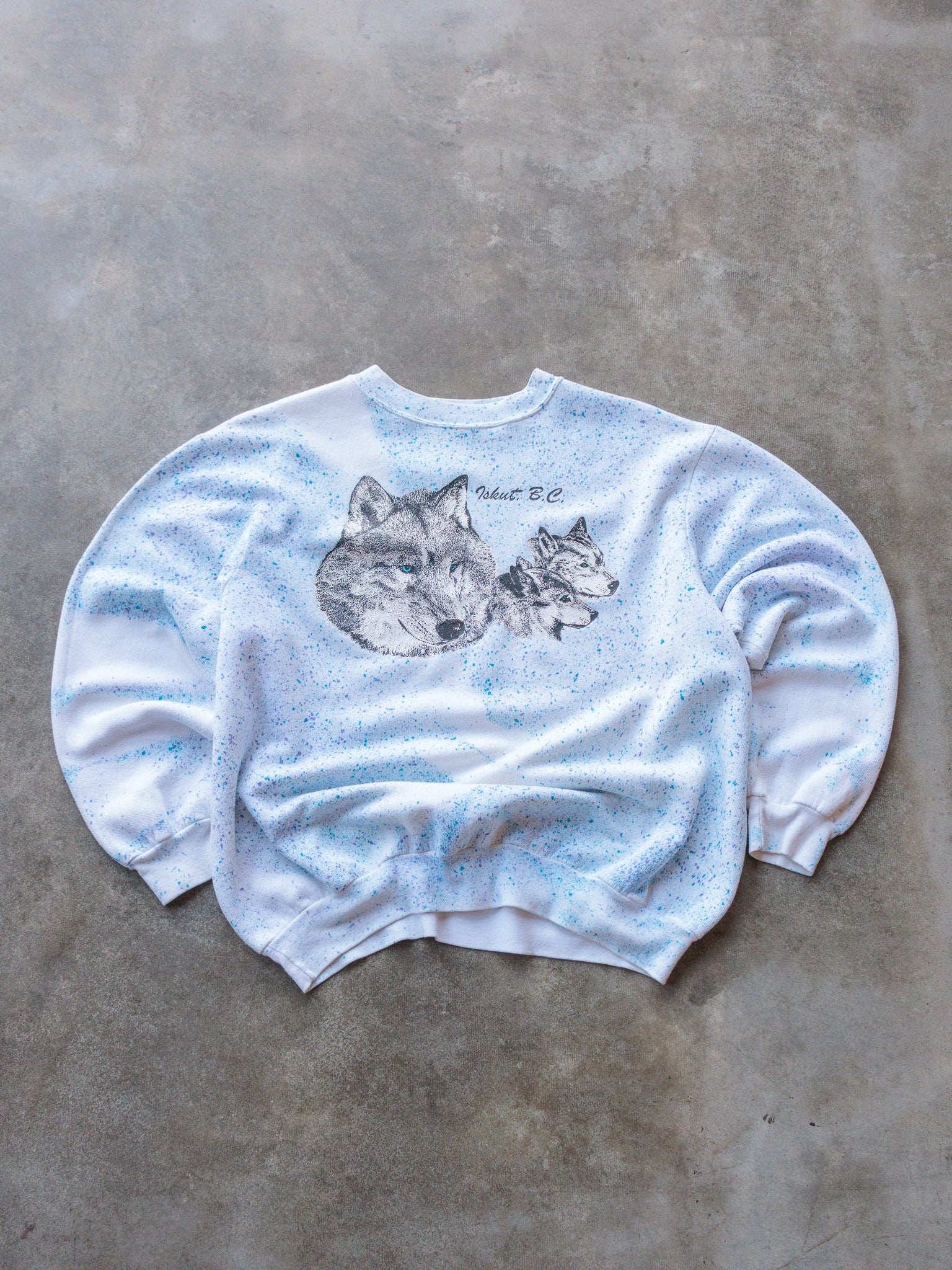 Vintage British Columbia Wolf Graphic Sweatshirt (L)