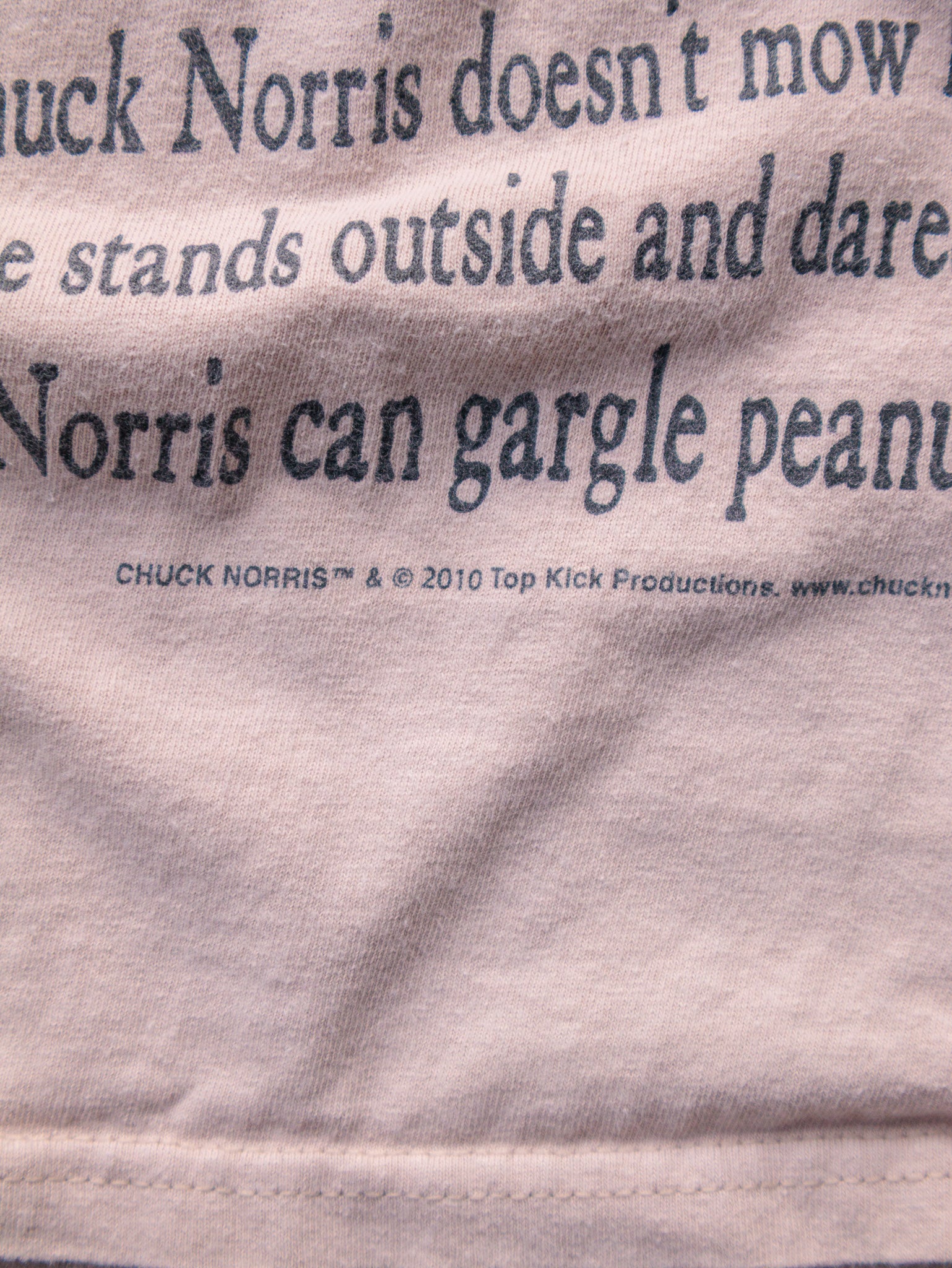 Vintage 2010 "Facts You Need To Know About Chuck Norris" Tee (XL)
