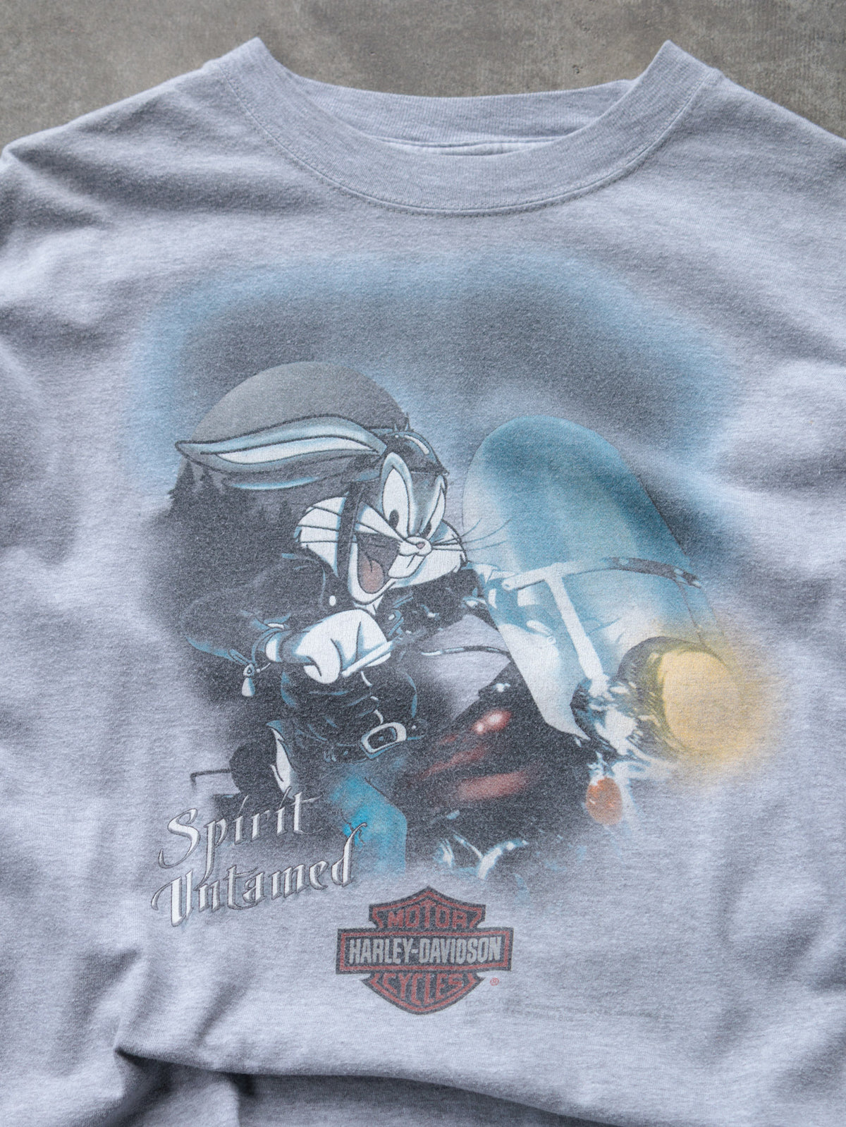 Vintage 00s Grey Harley-Davidson Roswell Georgia Tee (-)