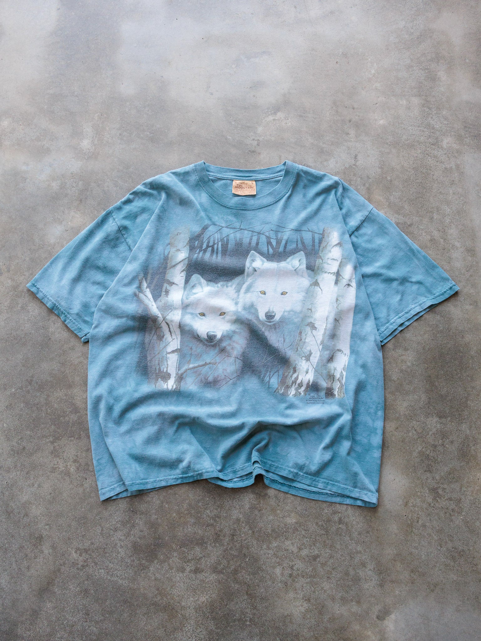Vintage 1999 Blue Wolf Graphic Tee (L)