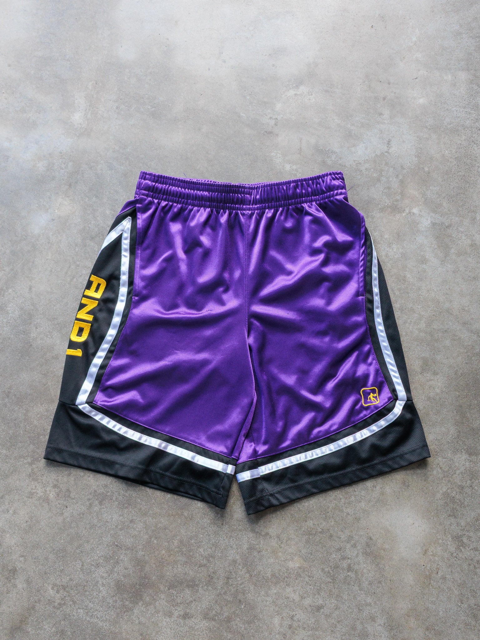 Vintage Purple AND1 Basketball Shorts (M)