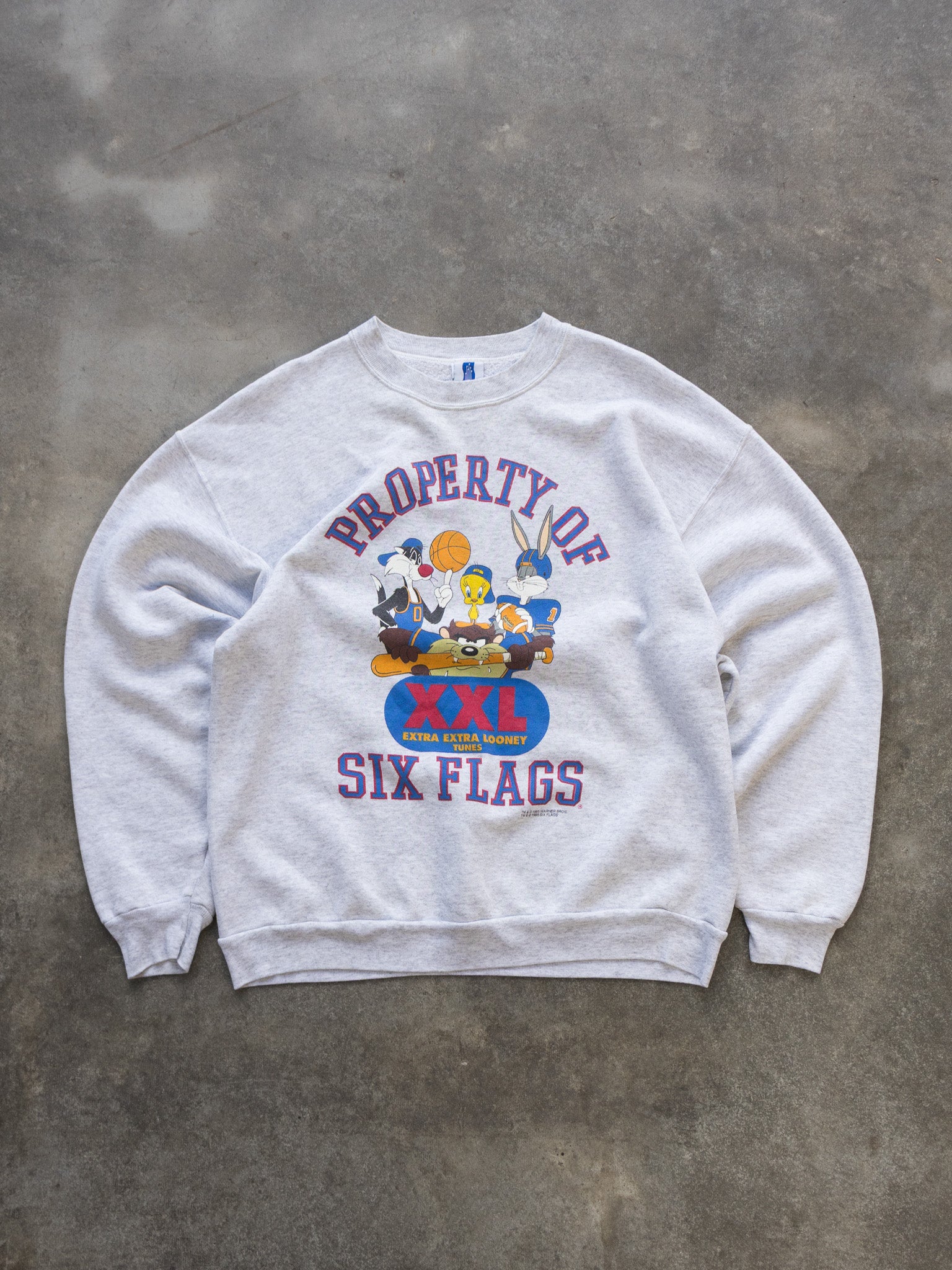 Vintage 1995 Looney Tunes Six Flags Sweatshirt (XL)