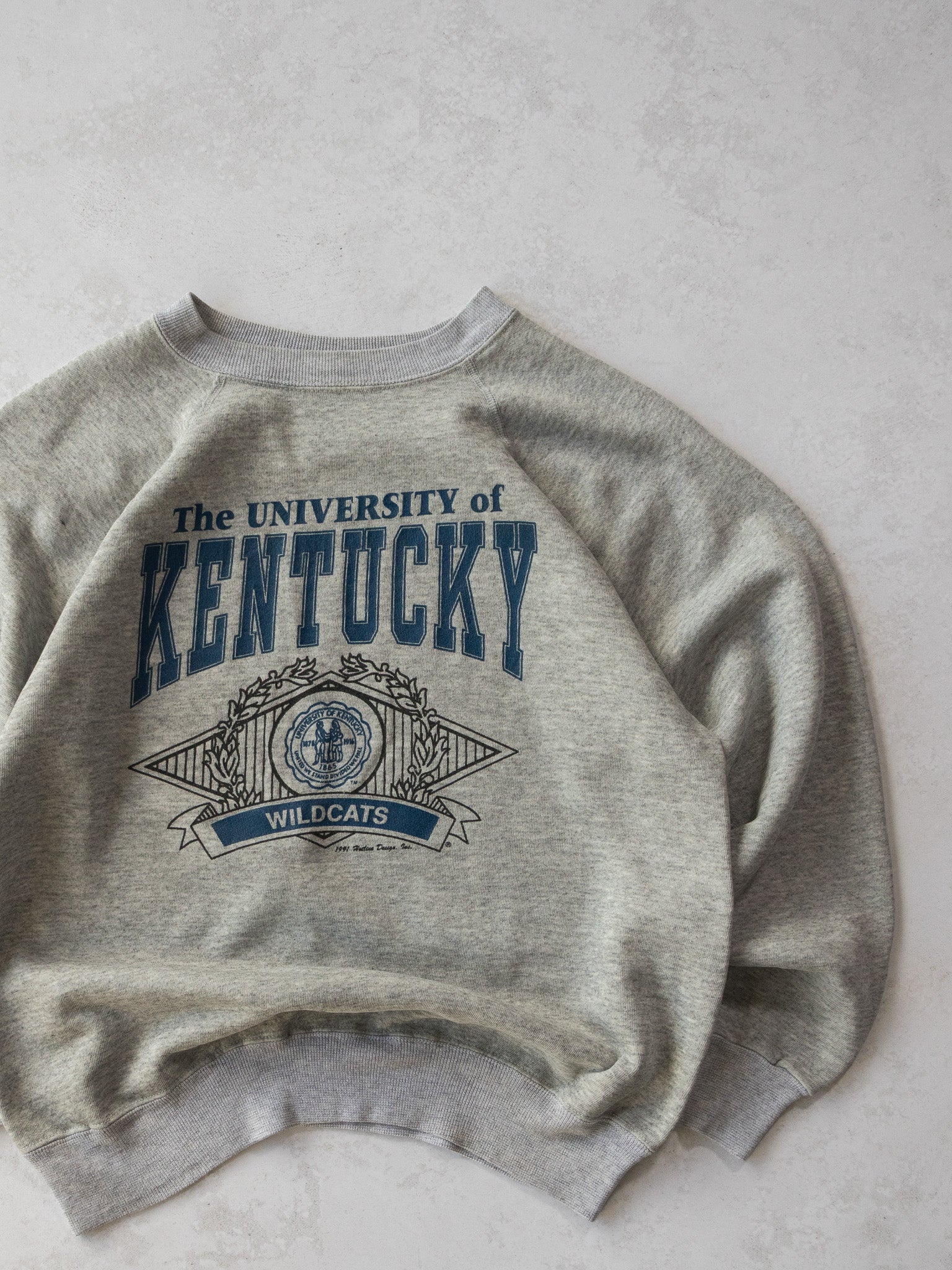 Vintage 1991 University of Kentucky Sweatshirt (L)