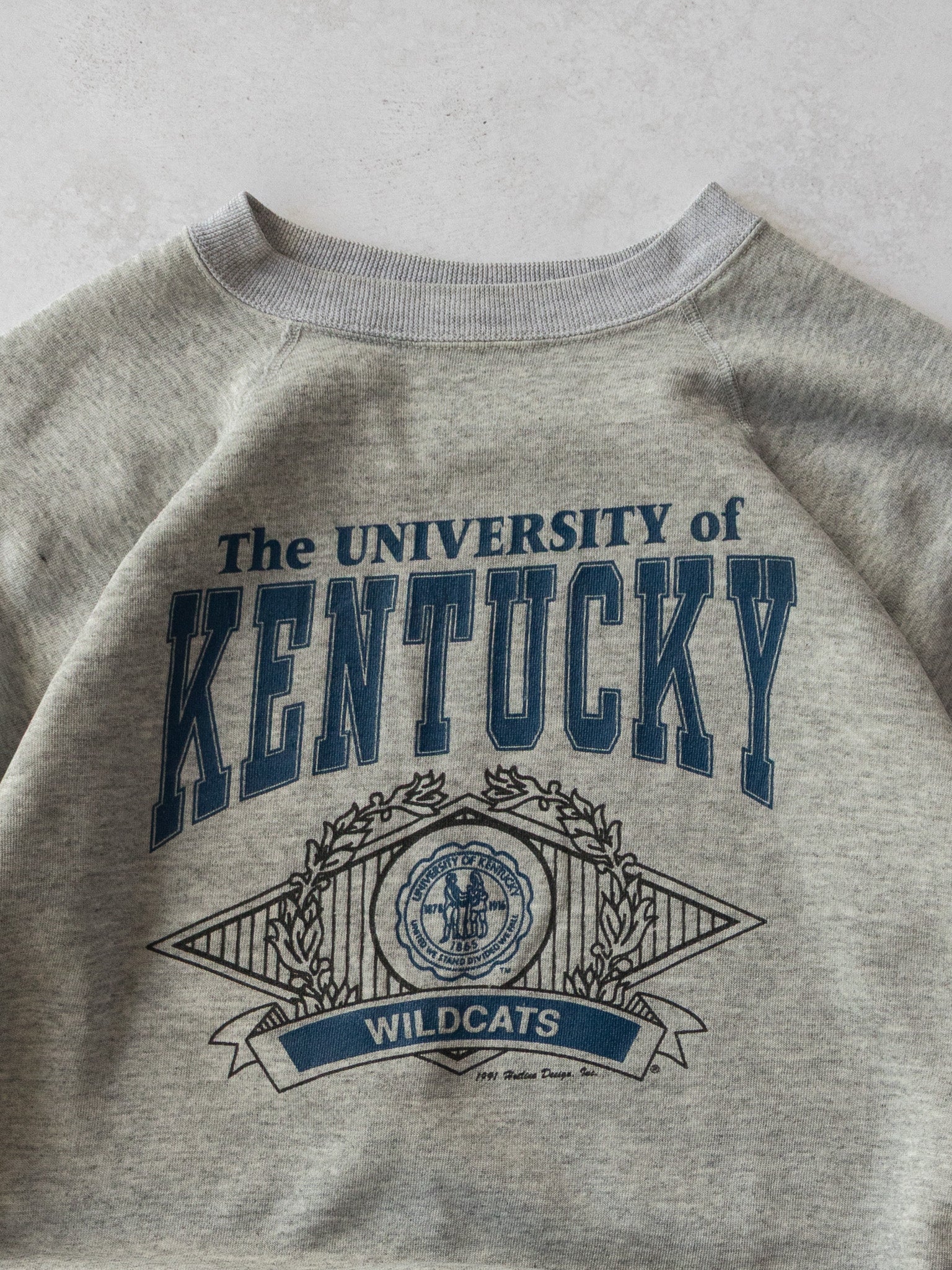 Vintage 1991 University of Kentucky Sweatshirt (L)