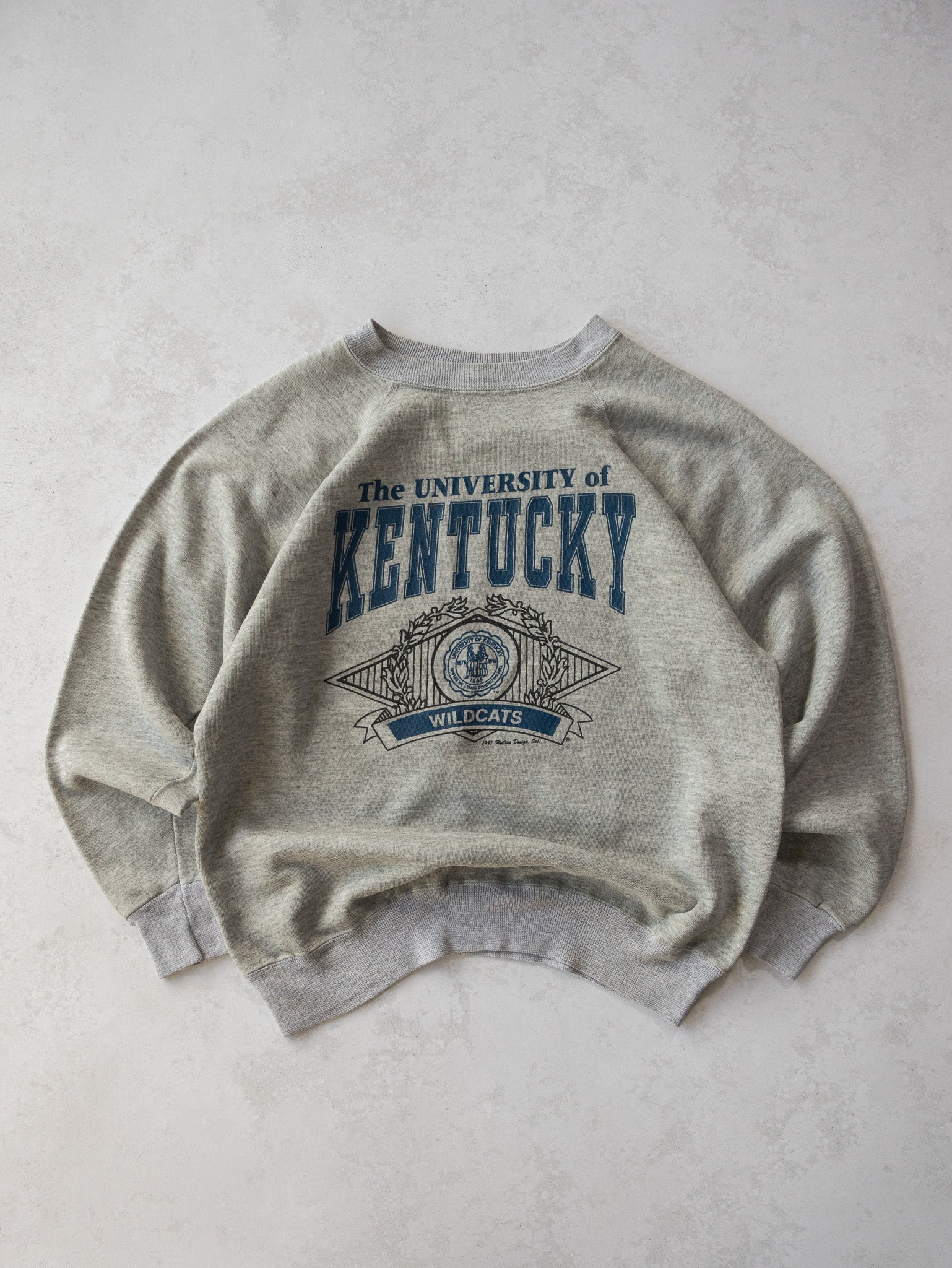 Vintage 1991 University of Kentucky Sweatshirt (L)