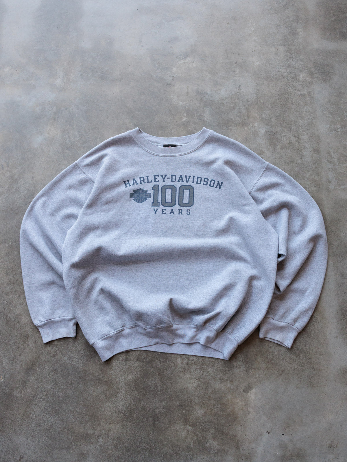 Vintage 2002 Grey Harley-Davidson Ashland Kentucky 100 Years Sweatshirt (XL)
