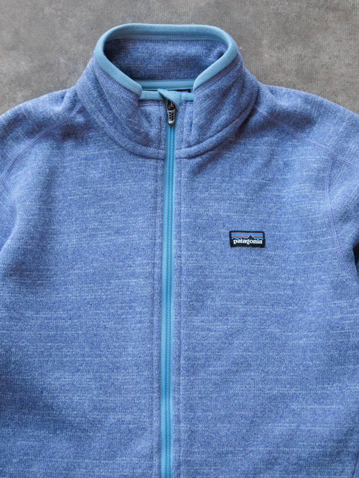 Vintage Blue Patagonia Fleece Jacket (Women's M)
