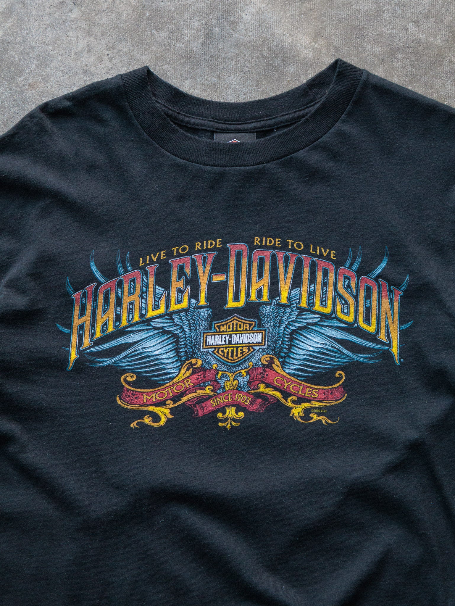 Vintage 2009 Harley-Davidson Lynnwood Washington Long Sleeve (L)