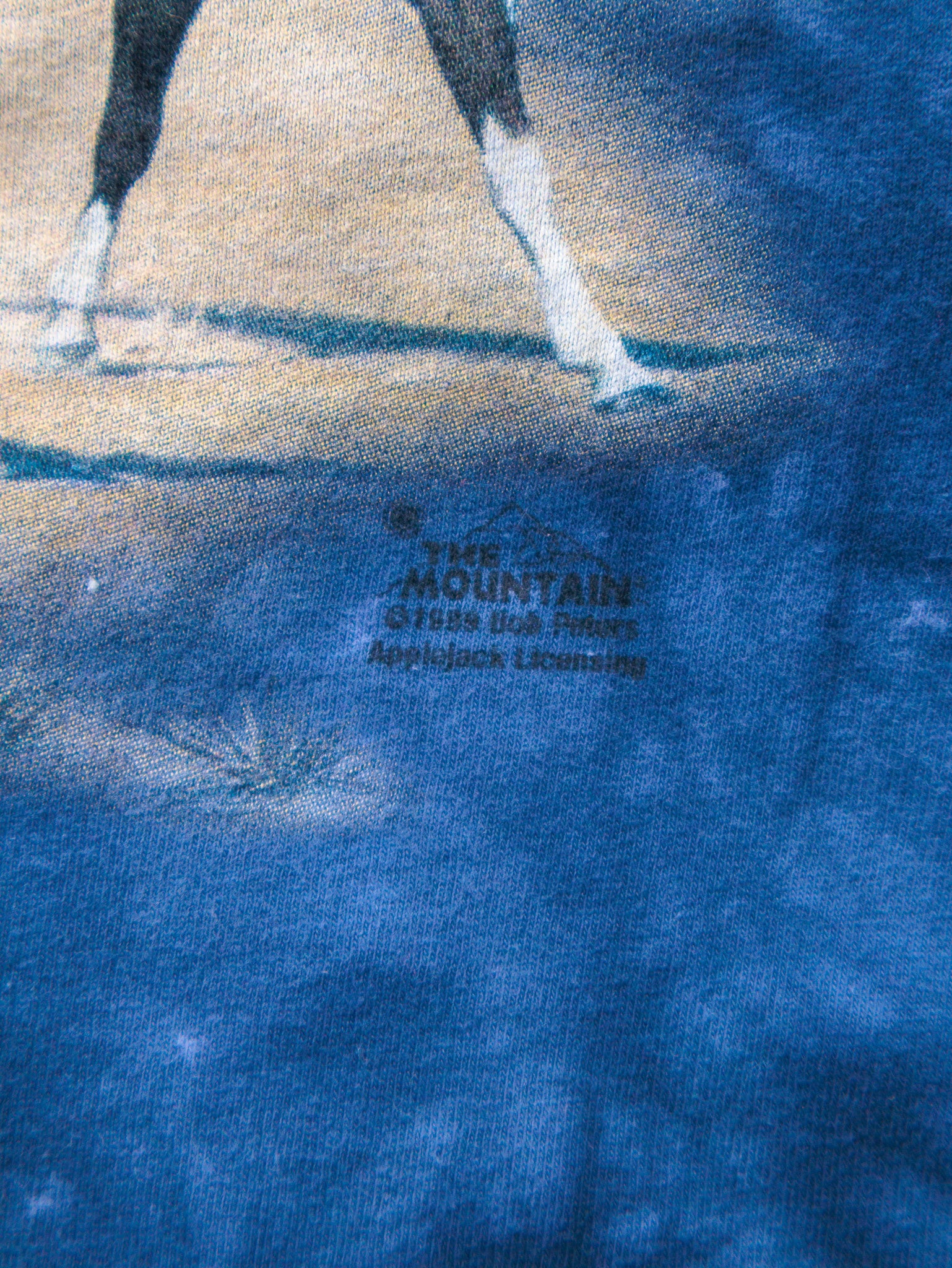 Vintage 1999 Blue Tie-Dye Wild Horses Graphic Tee (L)