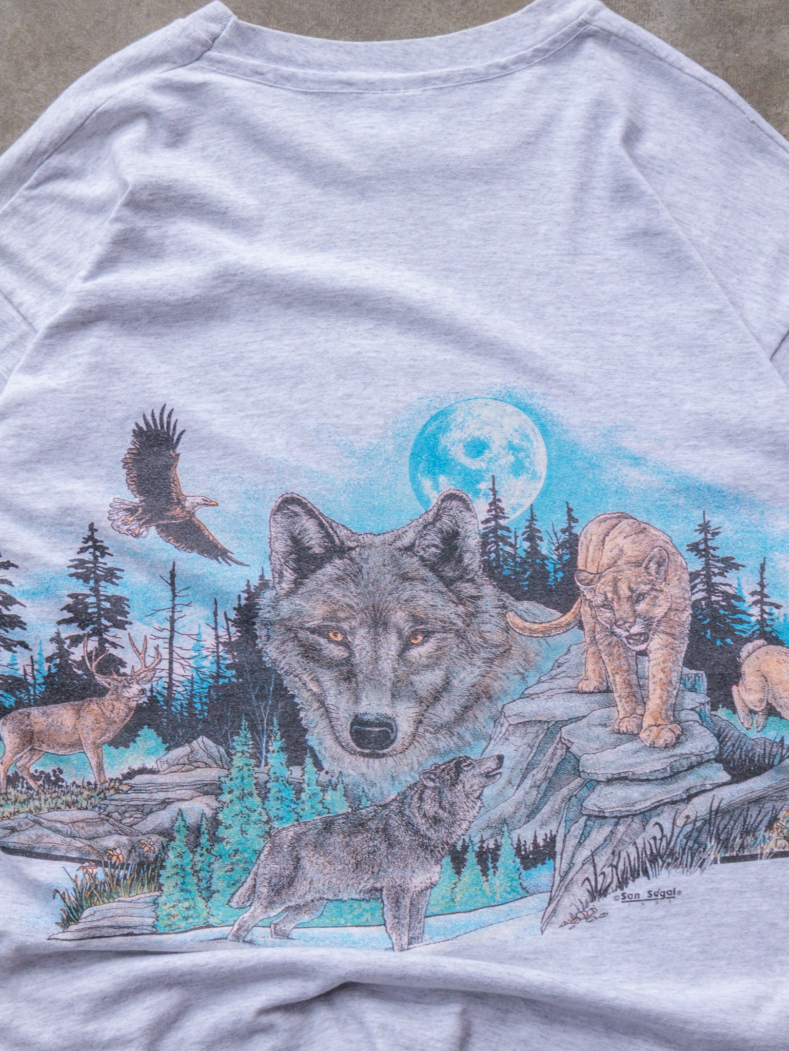 Vintage 1997 Reno Nature Graphic Tee (XL)