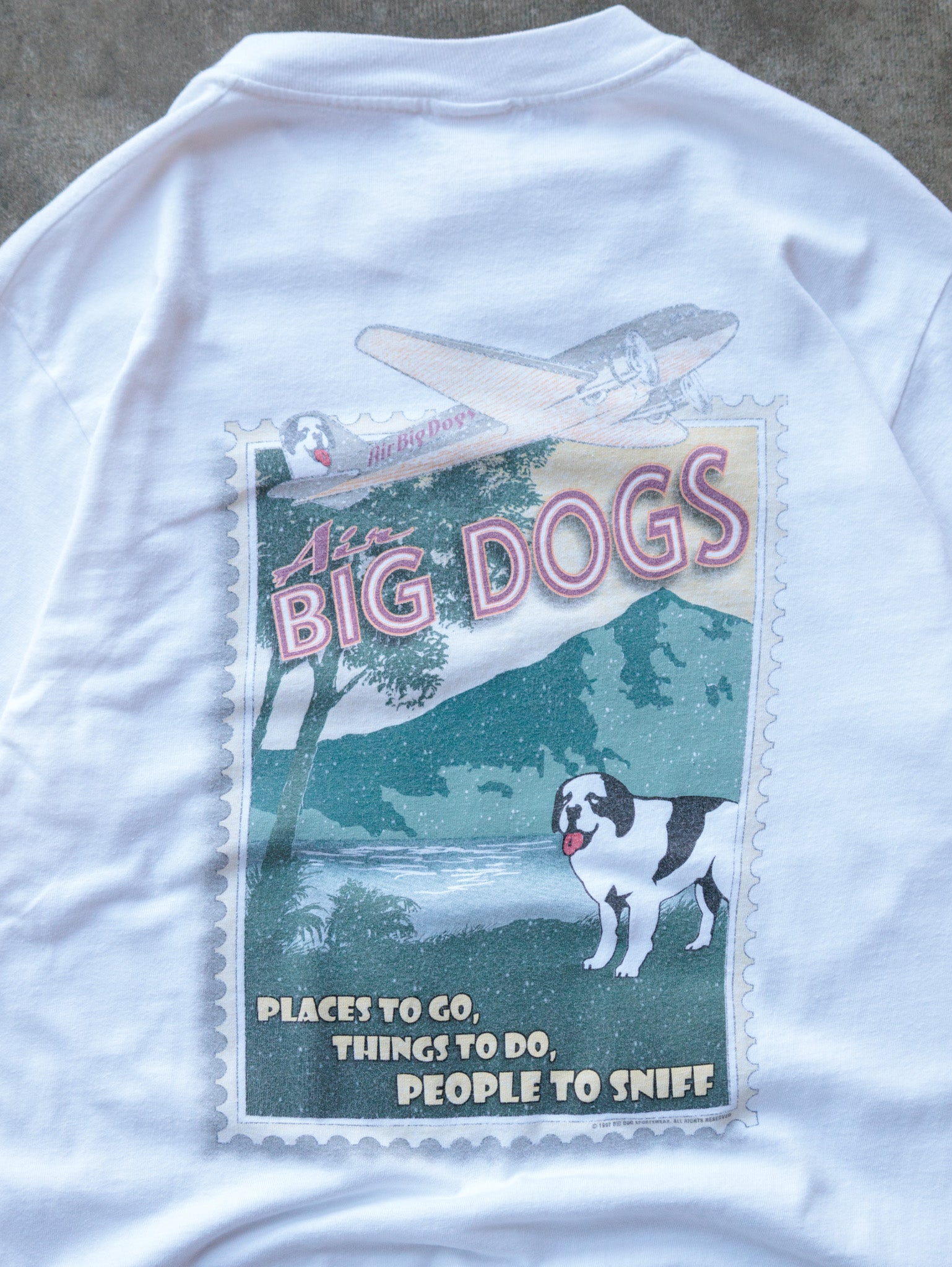 Vintage 1997 White Big Dogs Tee (S/M)