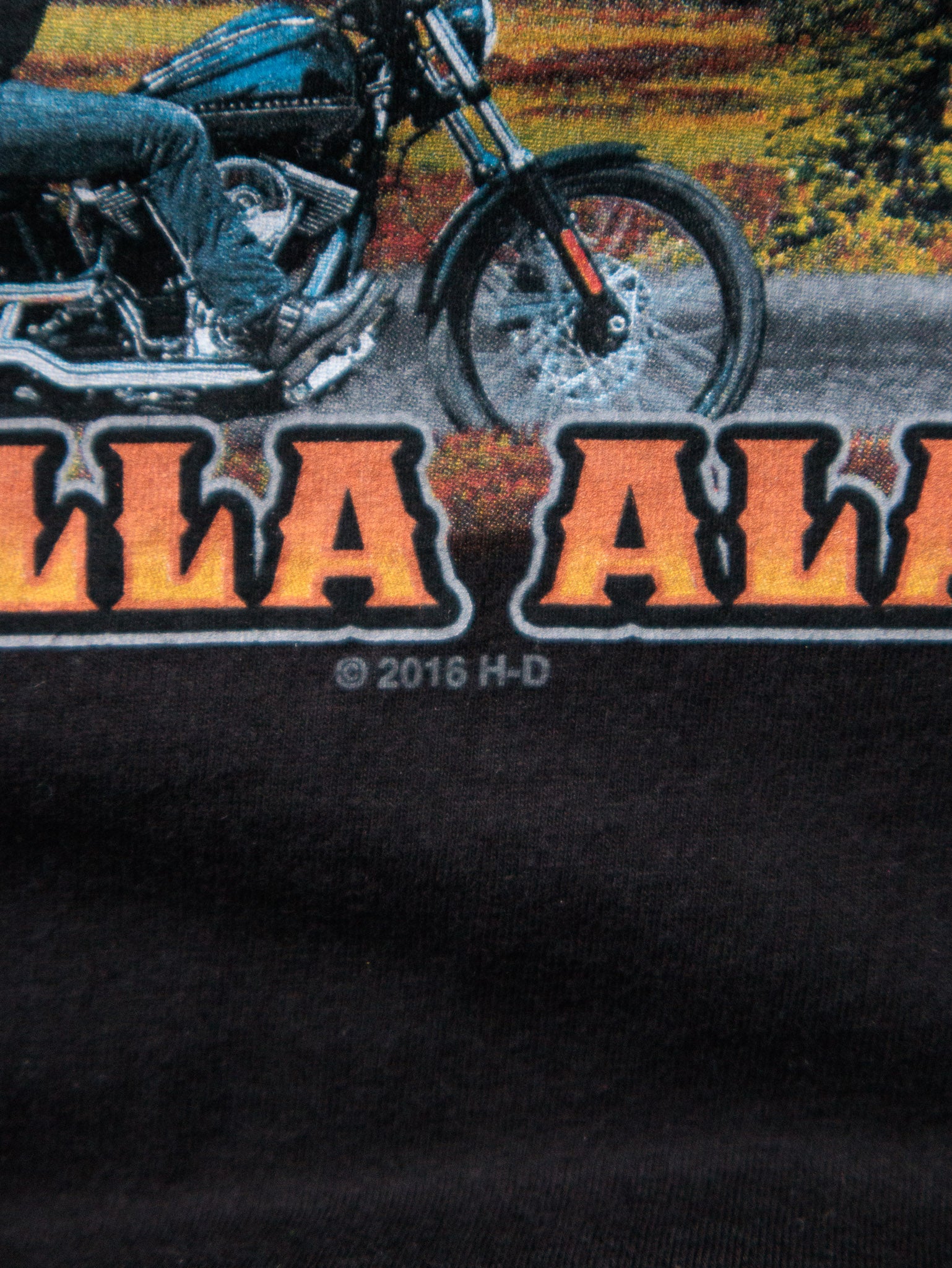 2016 Harley-Davidson Alaska Denali Tee (XL)