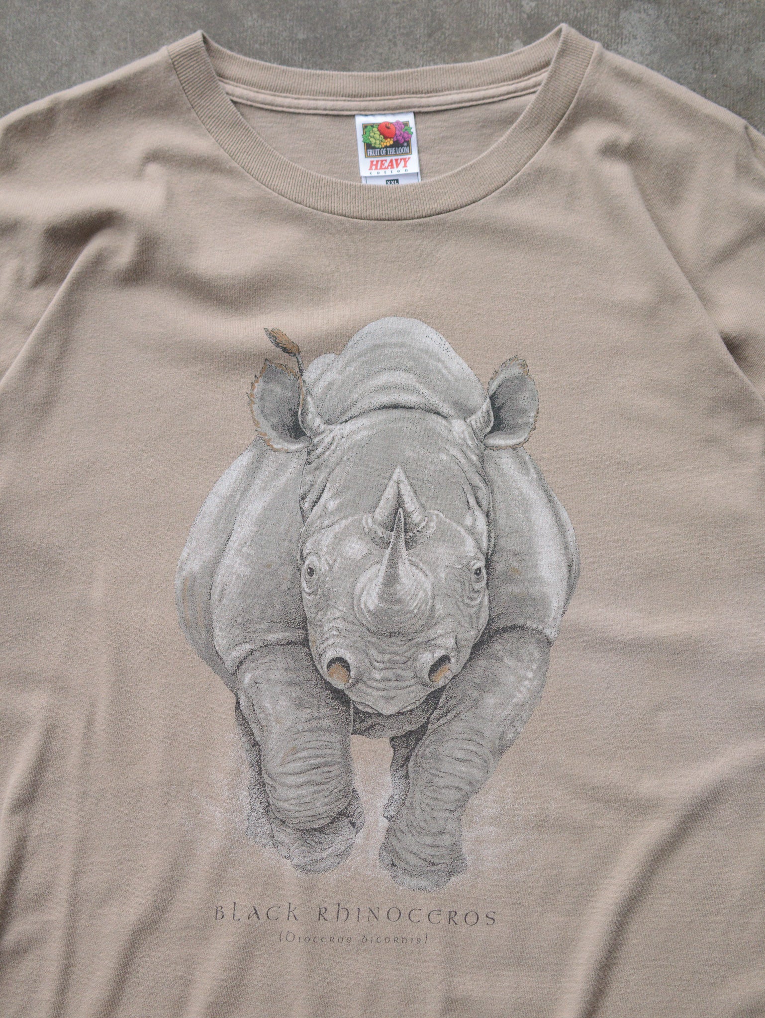 Vintage 00s Woodland Park Zoo Black Rhinoceros Tee (2XL)