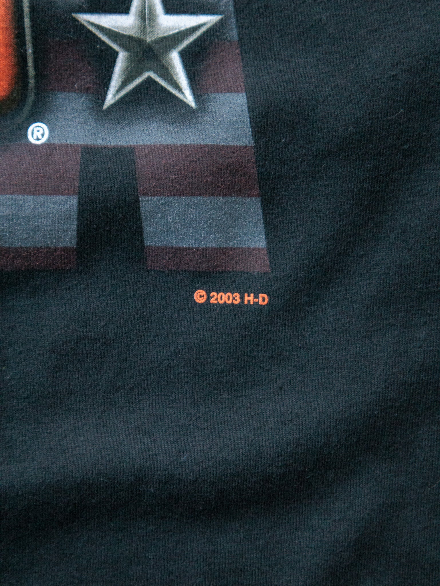 Vintage 2003 Black Harley-Davidson Great Falls Montana Tee (M)