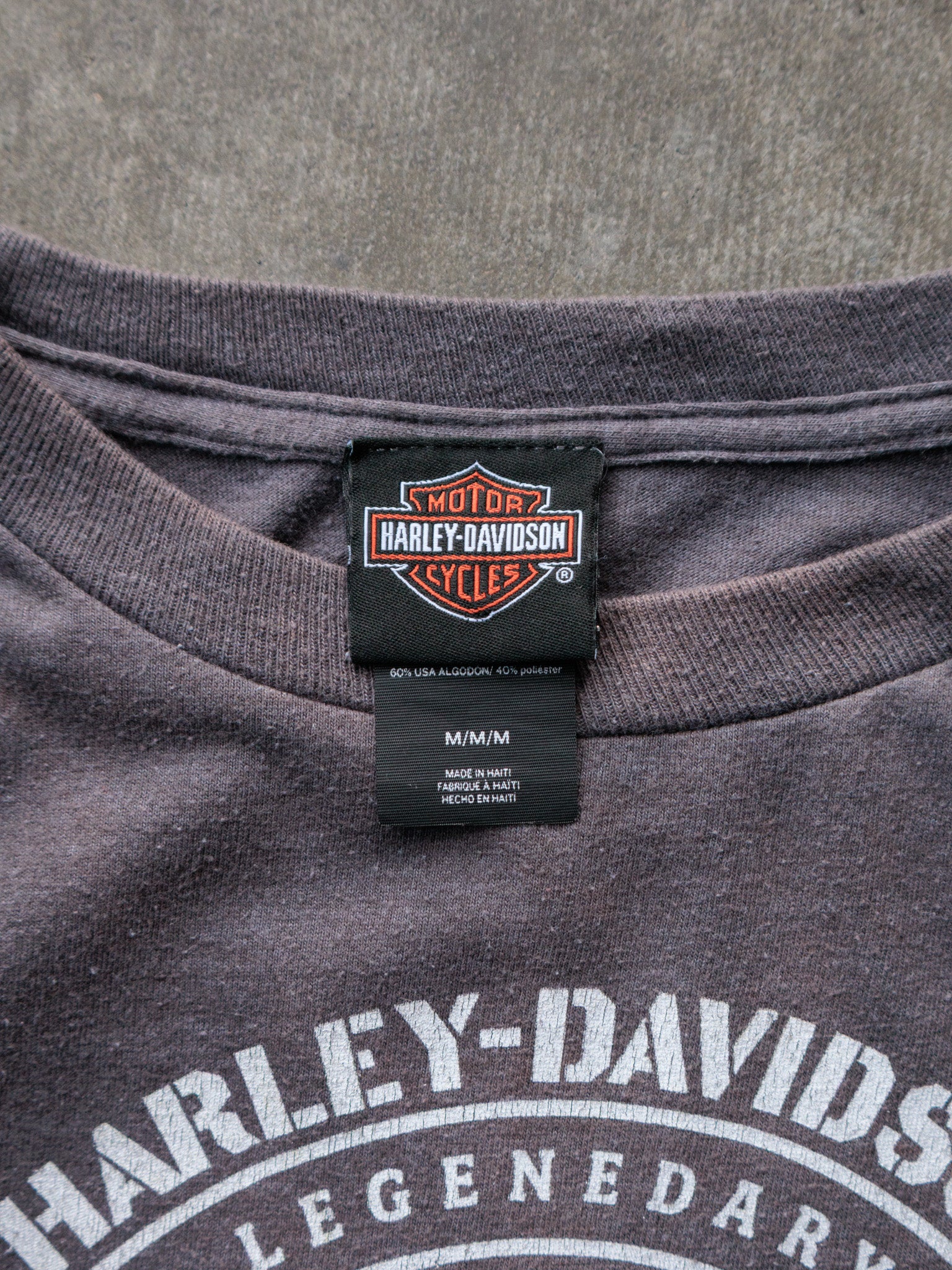 Vintage Grey Harley-Davidson Pittsfield Massachusetts Long Sleeve Tee (M)