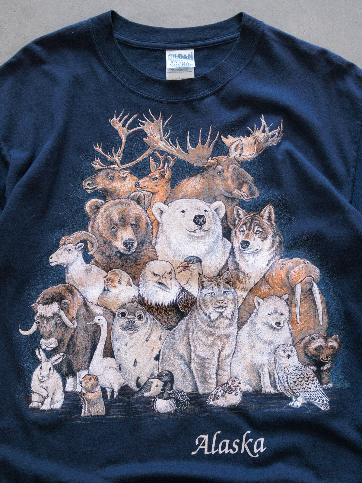 Vintage 00s Navy Alaska Animal Collage Tee (L)